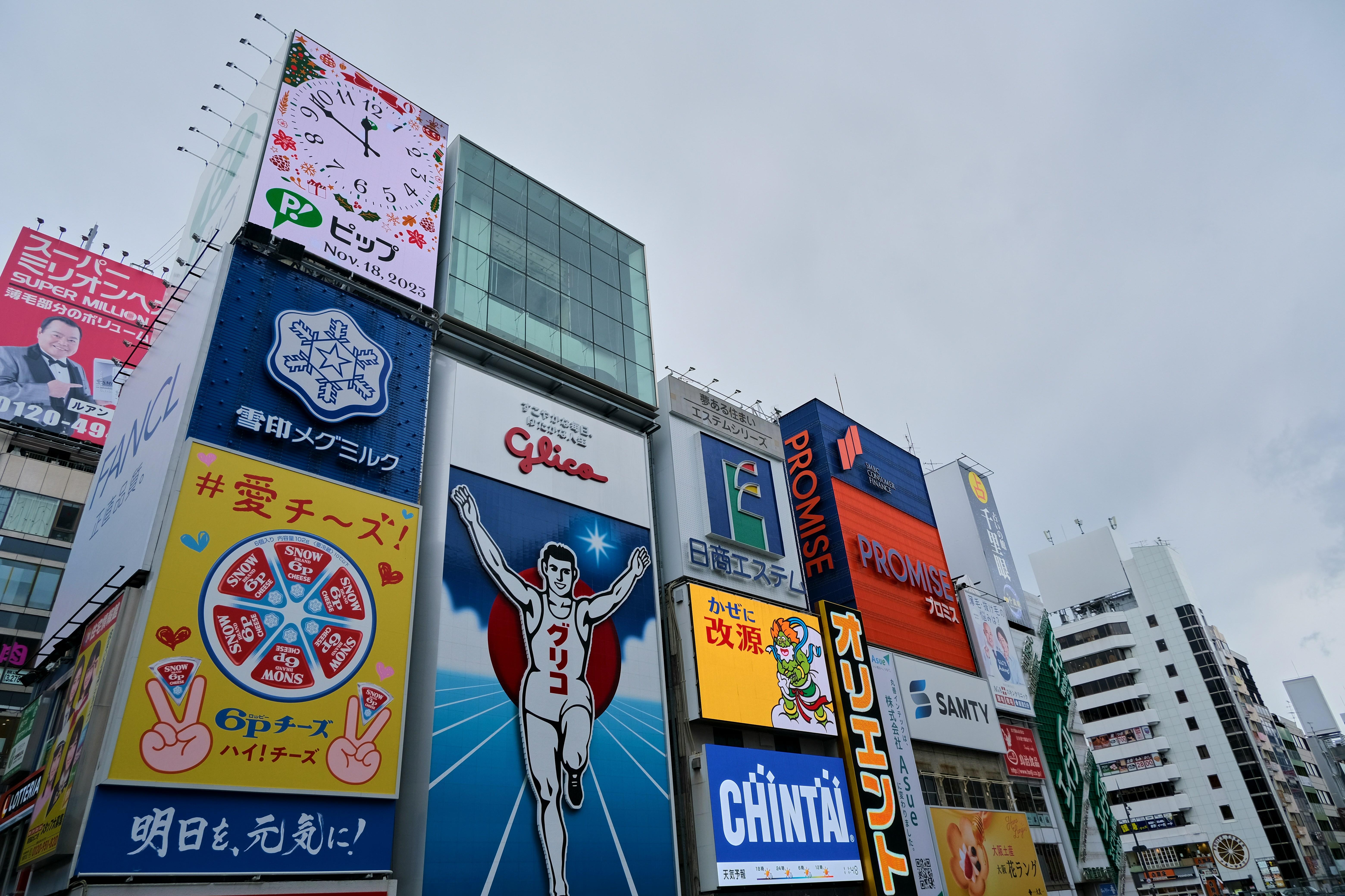 Osaka: Highlights Tour with Castle, Dotonbori & Hidden Gems