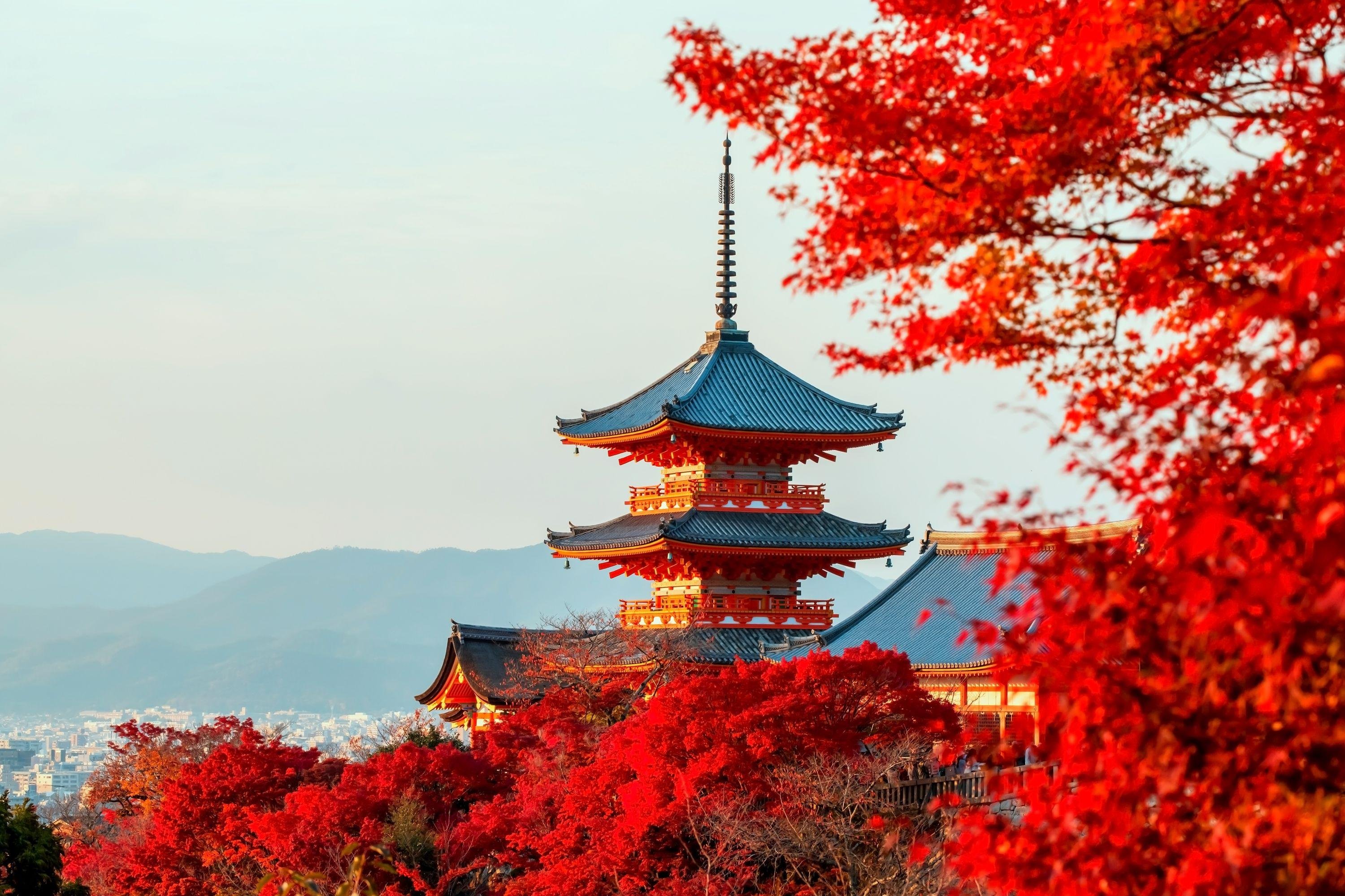 Kyoto & Nara Day Tour from Osaka with Two Route Options