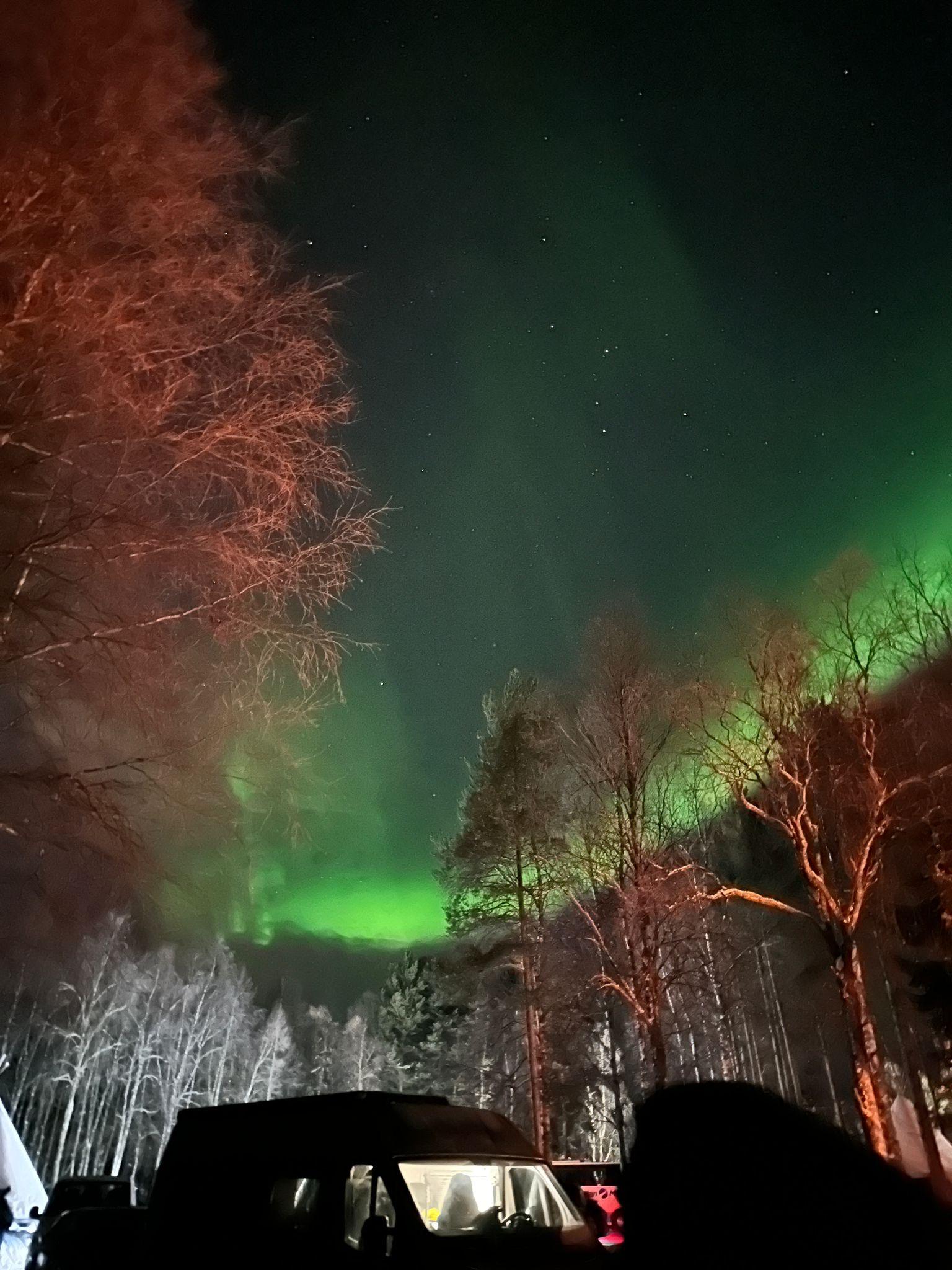 Rovaniemi Northern Lights Hunt with Lakeside BBQ