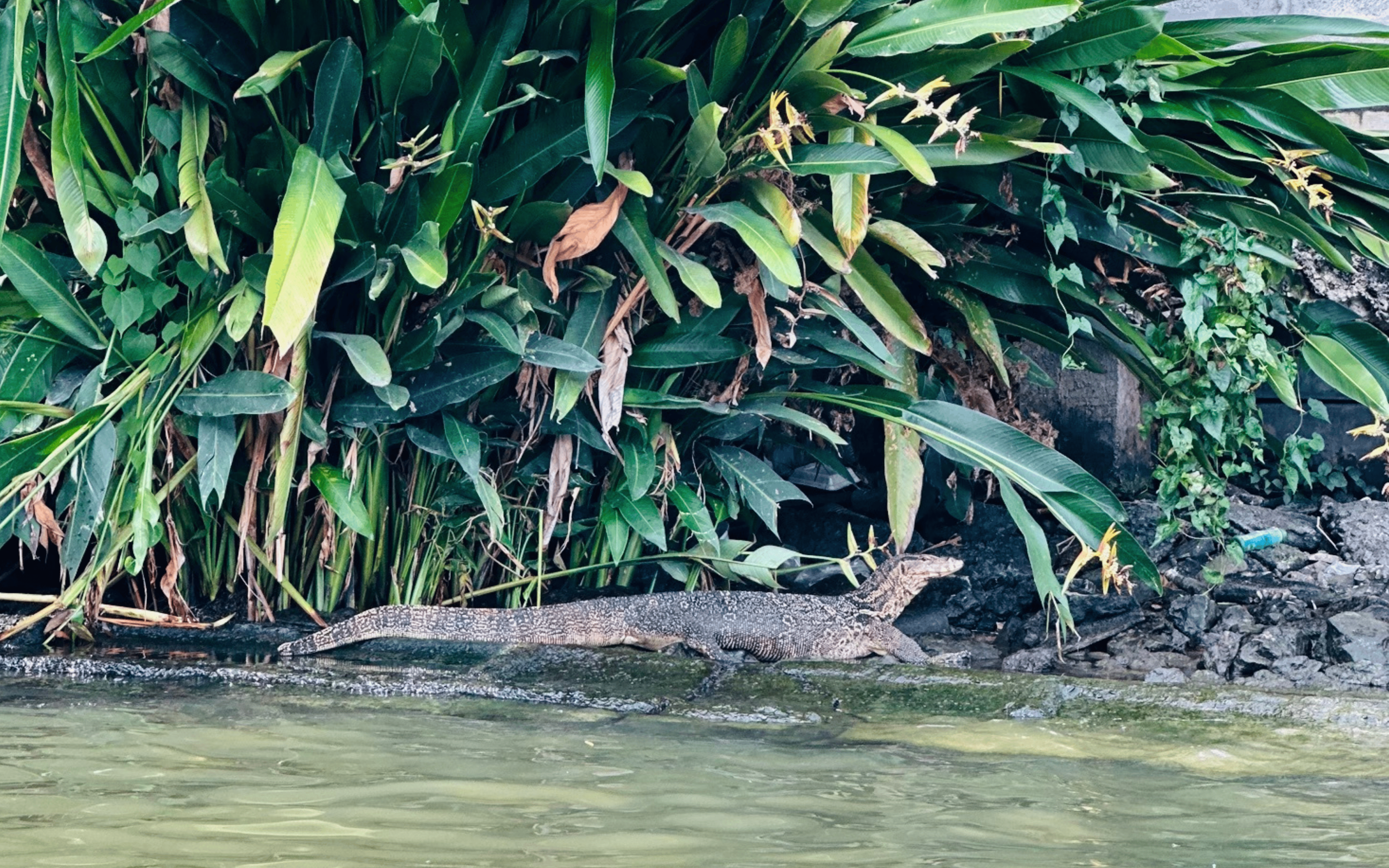 Private Bangkok Canal & Thonburi Long-Tail Boat Tour
