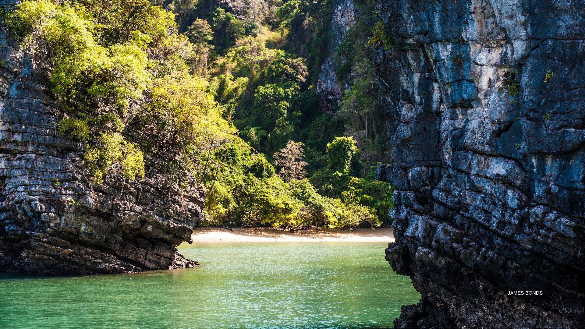 James Bond Island Sunset & Bioluminescent Plankton Cruise