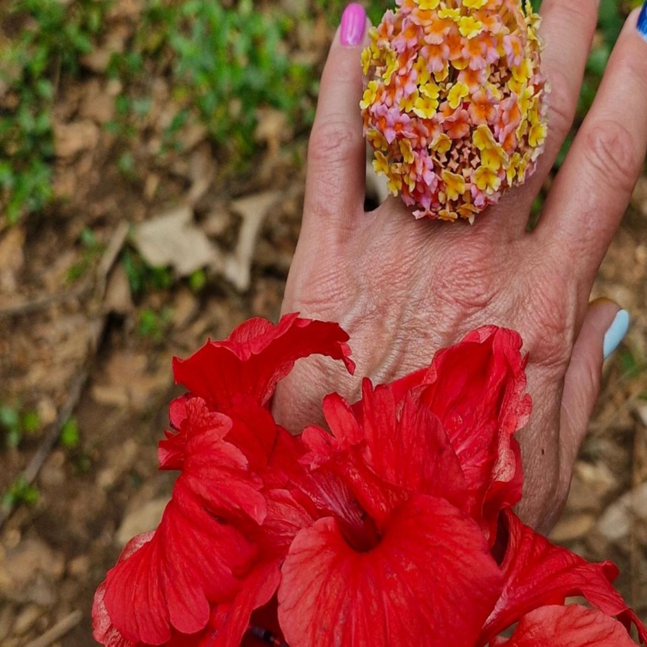 Zanzibar: Jozani Forest, Sea Turtles & Spice Farm Day Tour