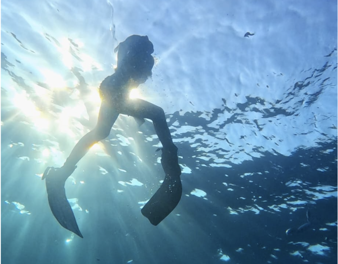 Águilas Zodiac Cruise & Isla del Fraile Snorkeling Adventure