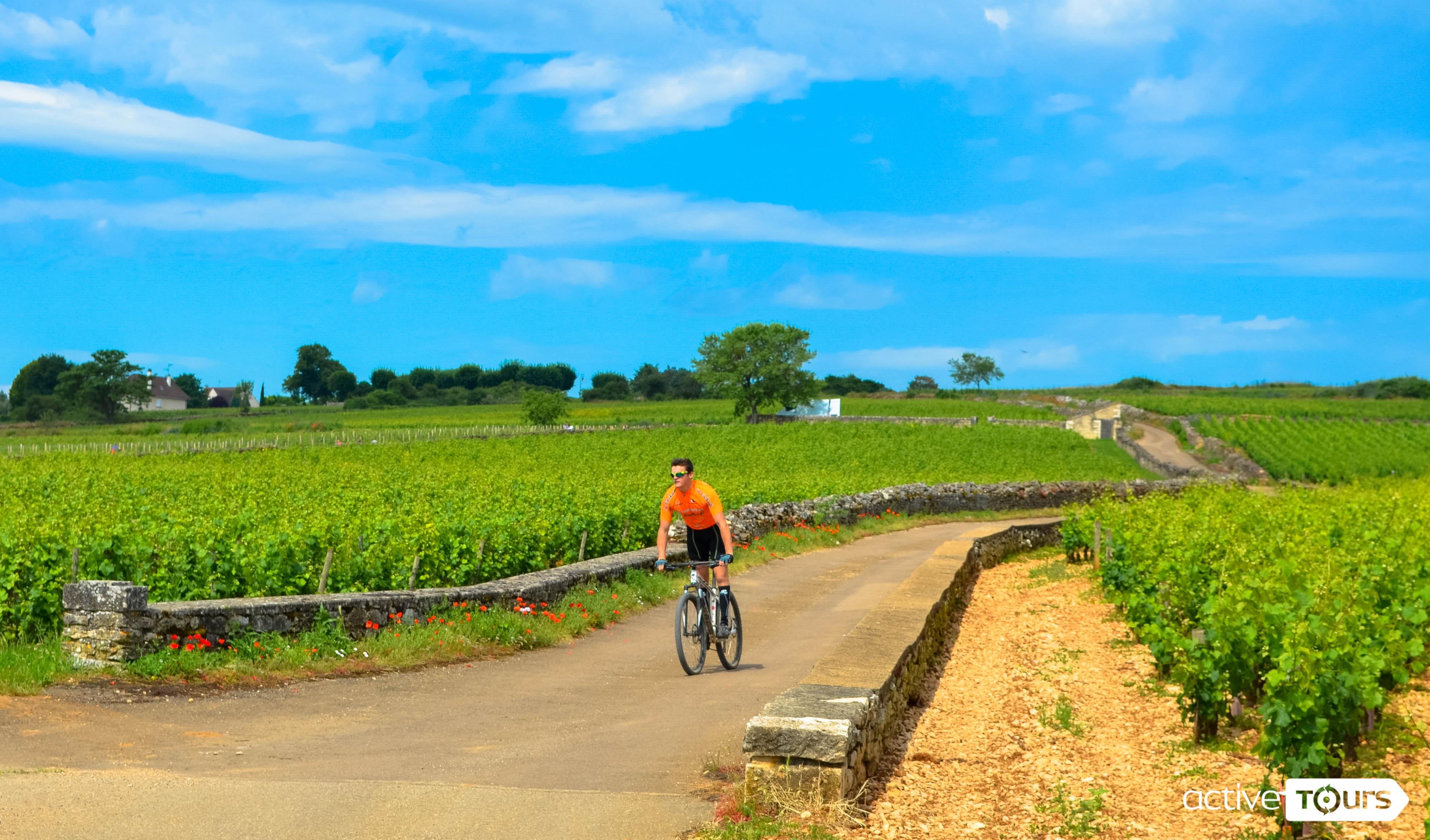 wine tasting in Beaune — Beaune: Winery Tour by Bike with Wine Tasting - 2026 (Verified Reviews)