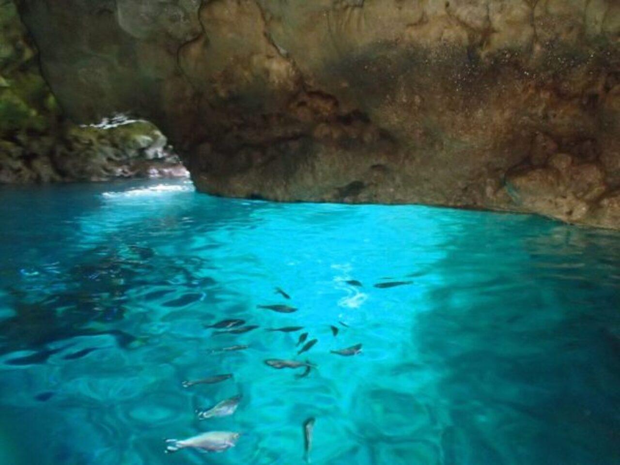 Okinawa: Blue Cave Freediving Tour with GoPro Photos