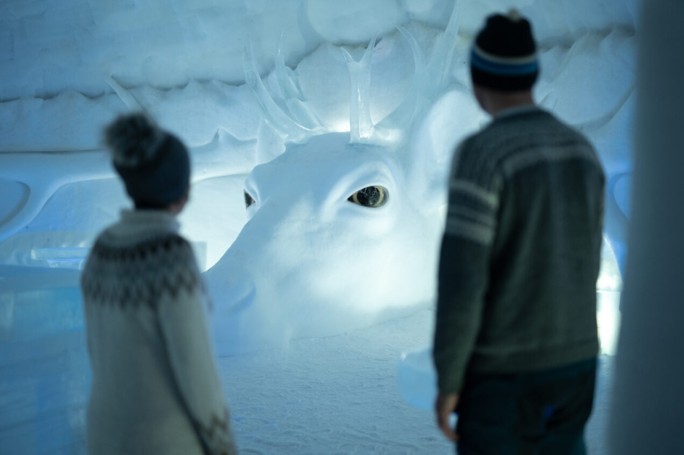 Snowhotel 365 Guided Experience