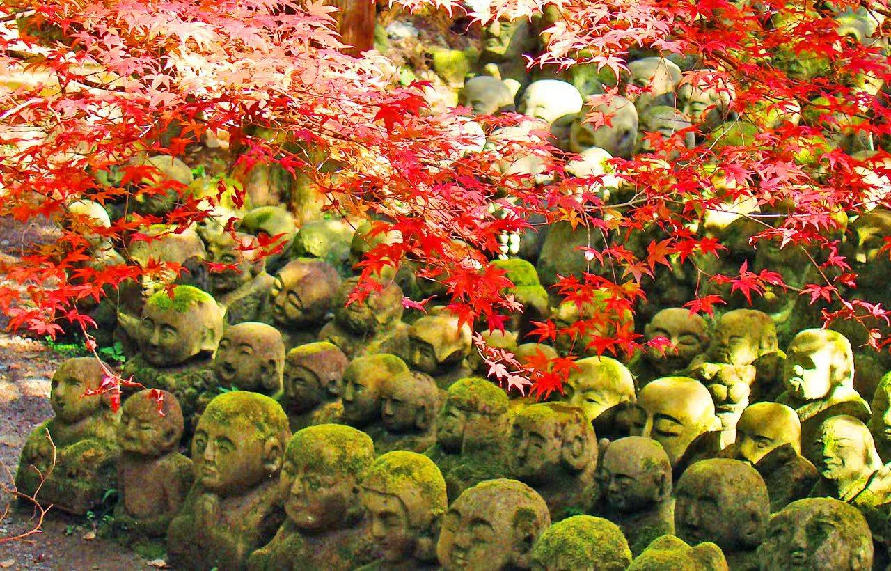Katsuo-ji & Otagi Nenbutsu-ji Temples Day Tour from Osaka