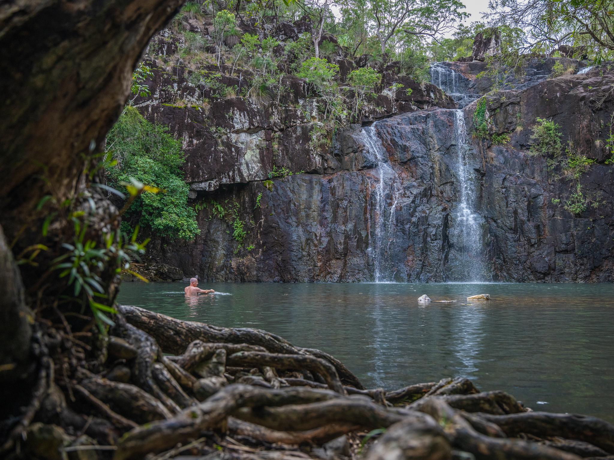 Cedar Creek Falls Eco Tour from Airlie Beach