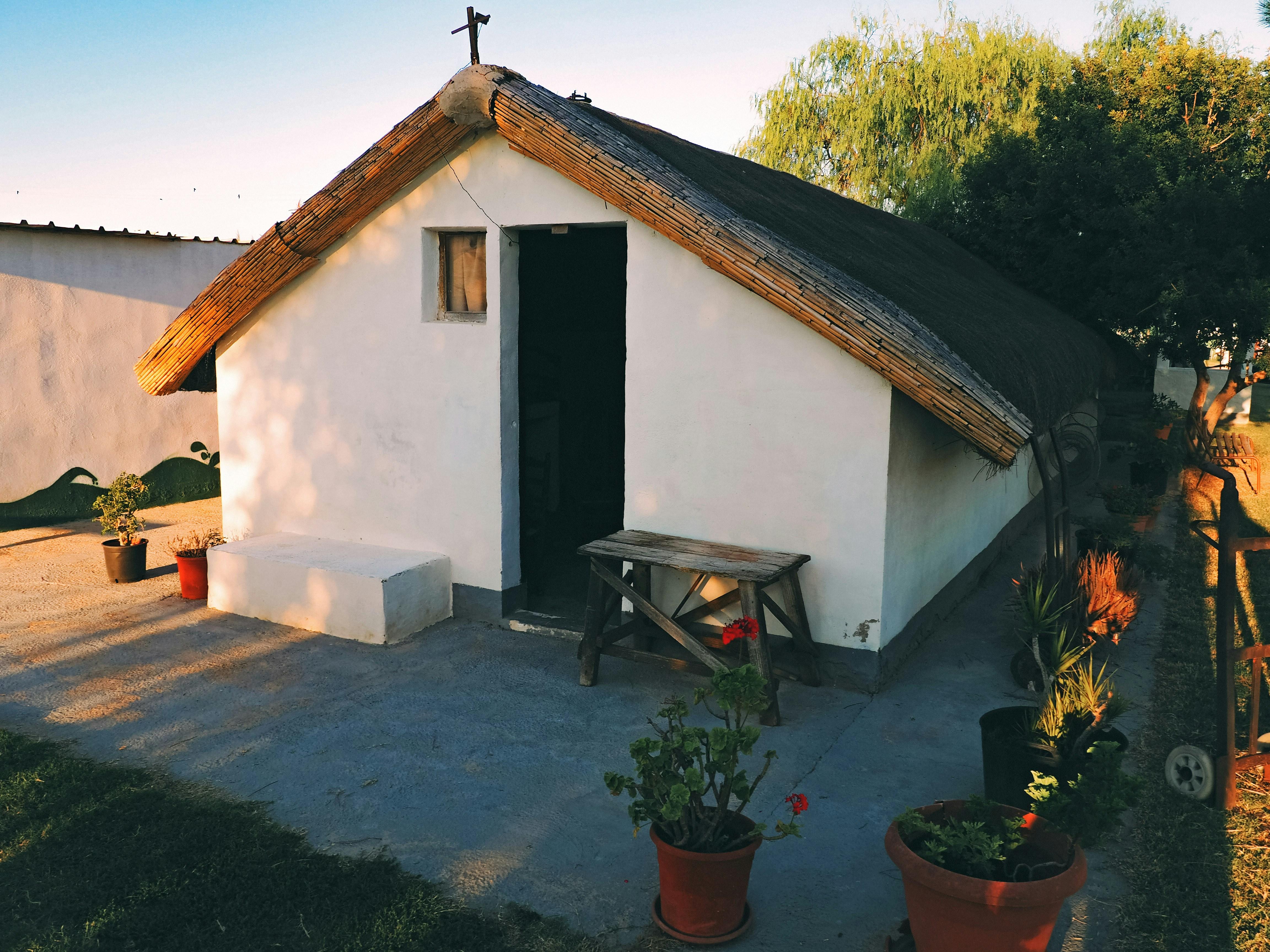 Albufera Natural Park Eco-Tour and Sunset Cruise from Valencia