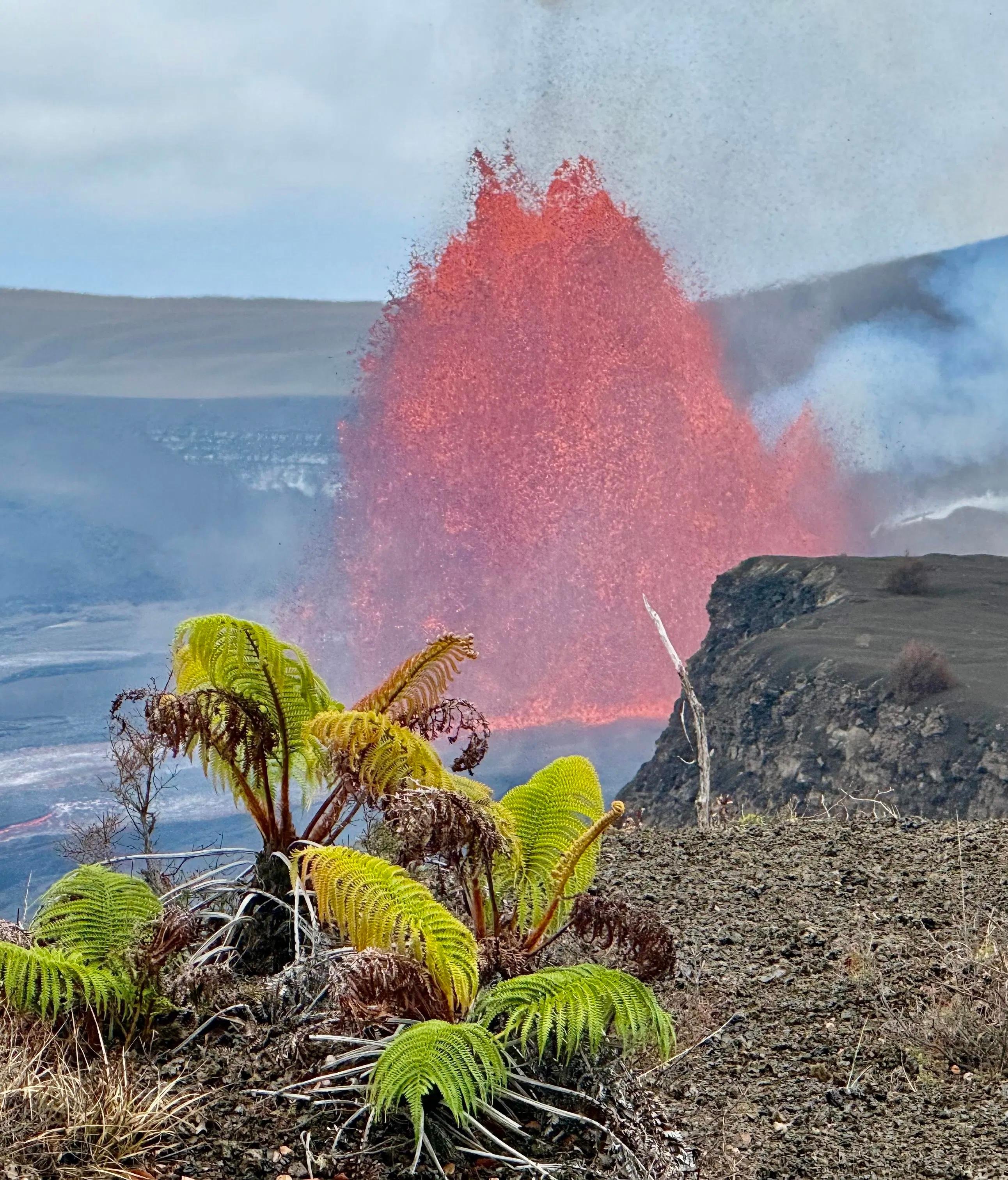 Hilo Volcano & Waterfall Morning Adventure