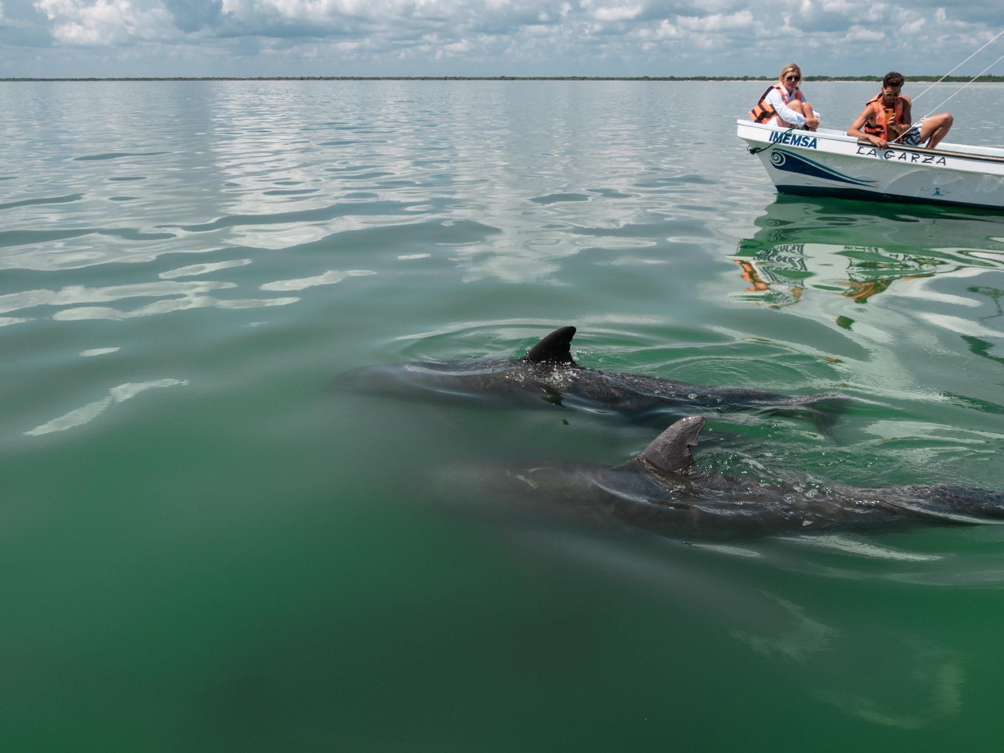 Sian Ka'an Reserve: Dolphins, Turtles & Snorkeling Day Trip
