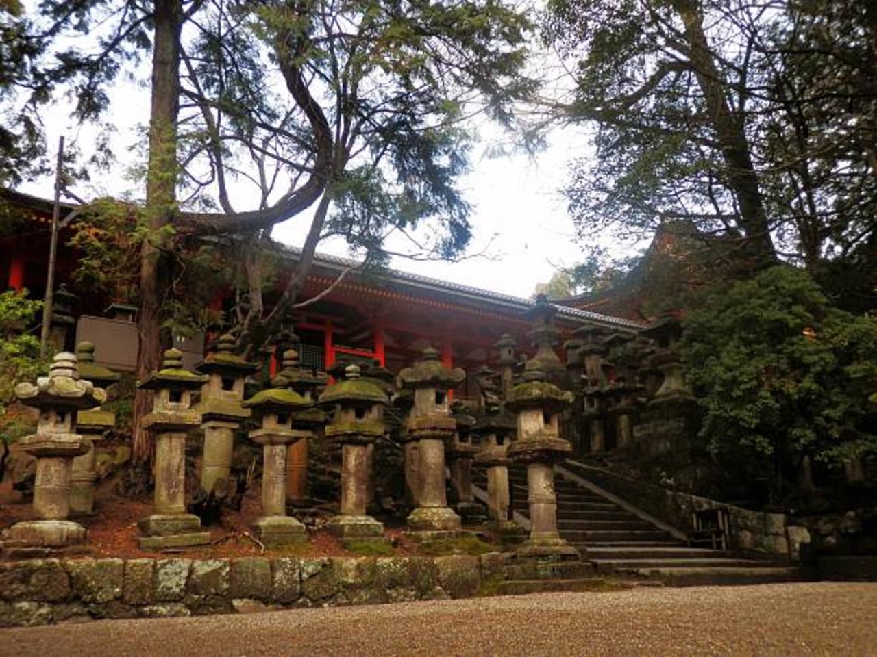 Nikko UNESCO Heritage Private Full-Day Tour from Tokyo