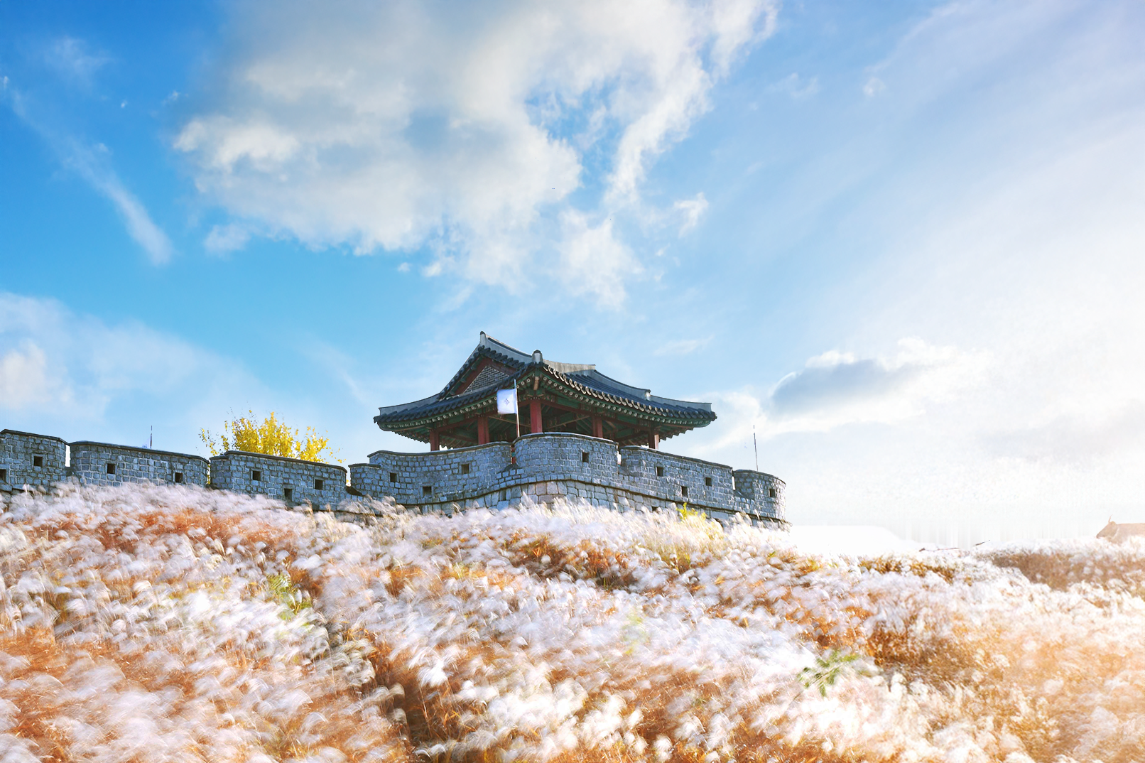 Seoul: Suwon Full-Day Trip to UNESCO Fortress & Trendy Spots
