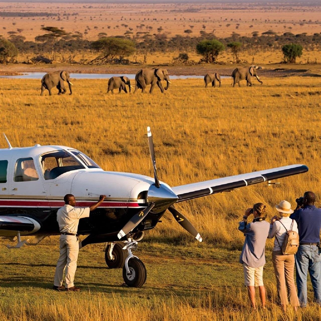 3-Day Private Maasai Mara Safari with Flights