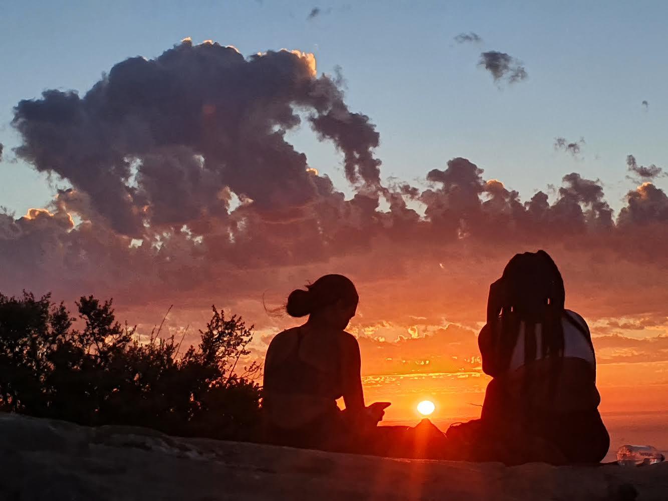 Cape Town: Lion's Head or Table Mountain Guided Hike