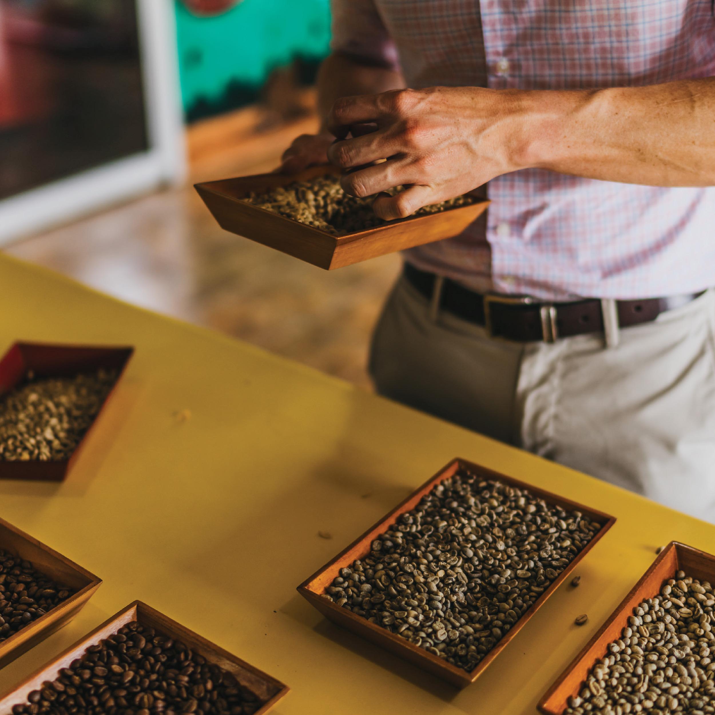 Alajuela Coffee Plantation Tour & Tasting at Doka Estate