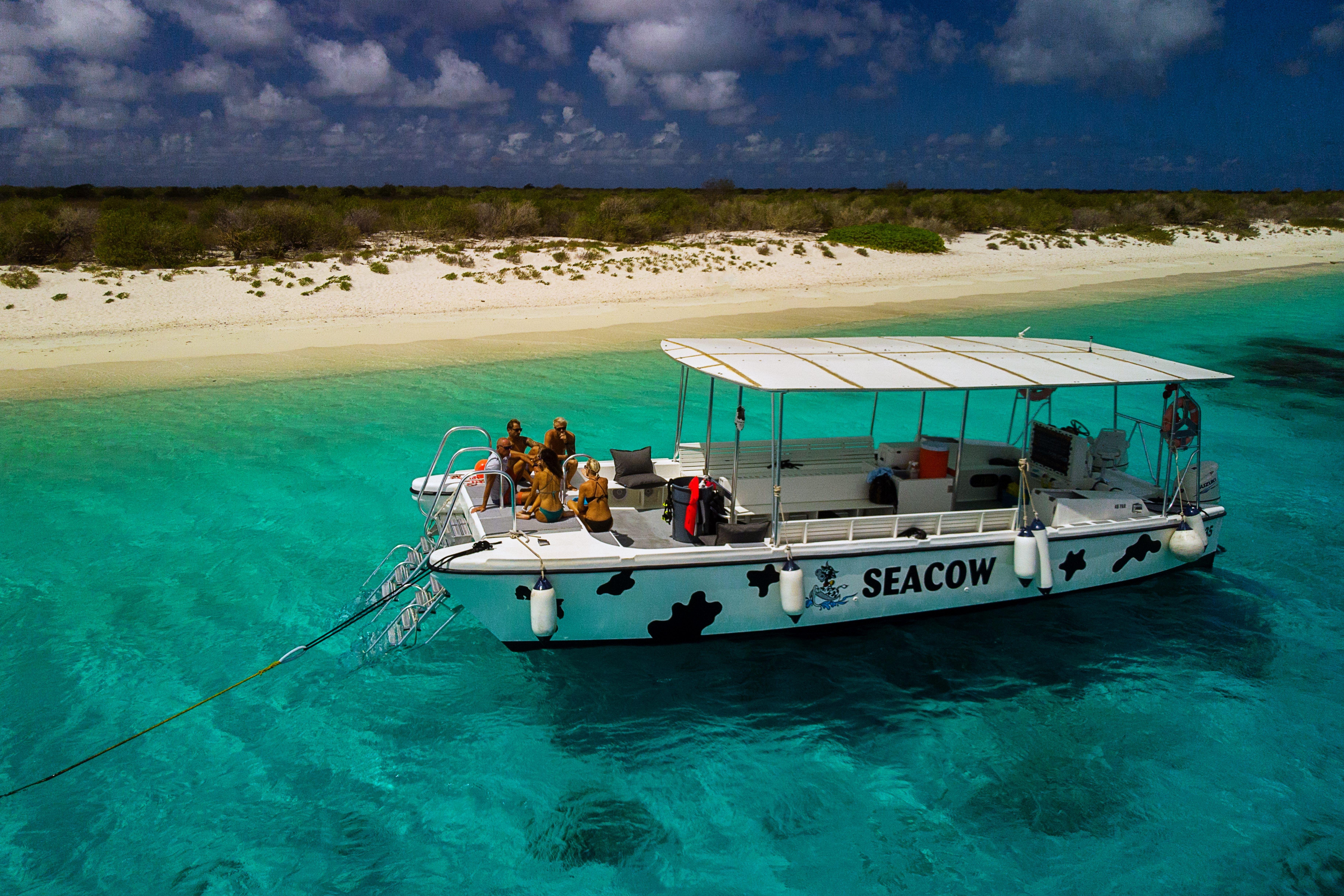 Klein Bonaire Catamaran Drift Snorkel Adventure
