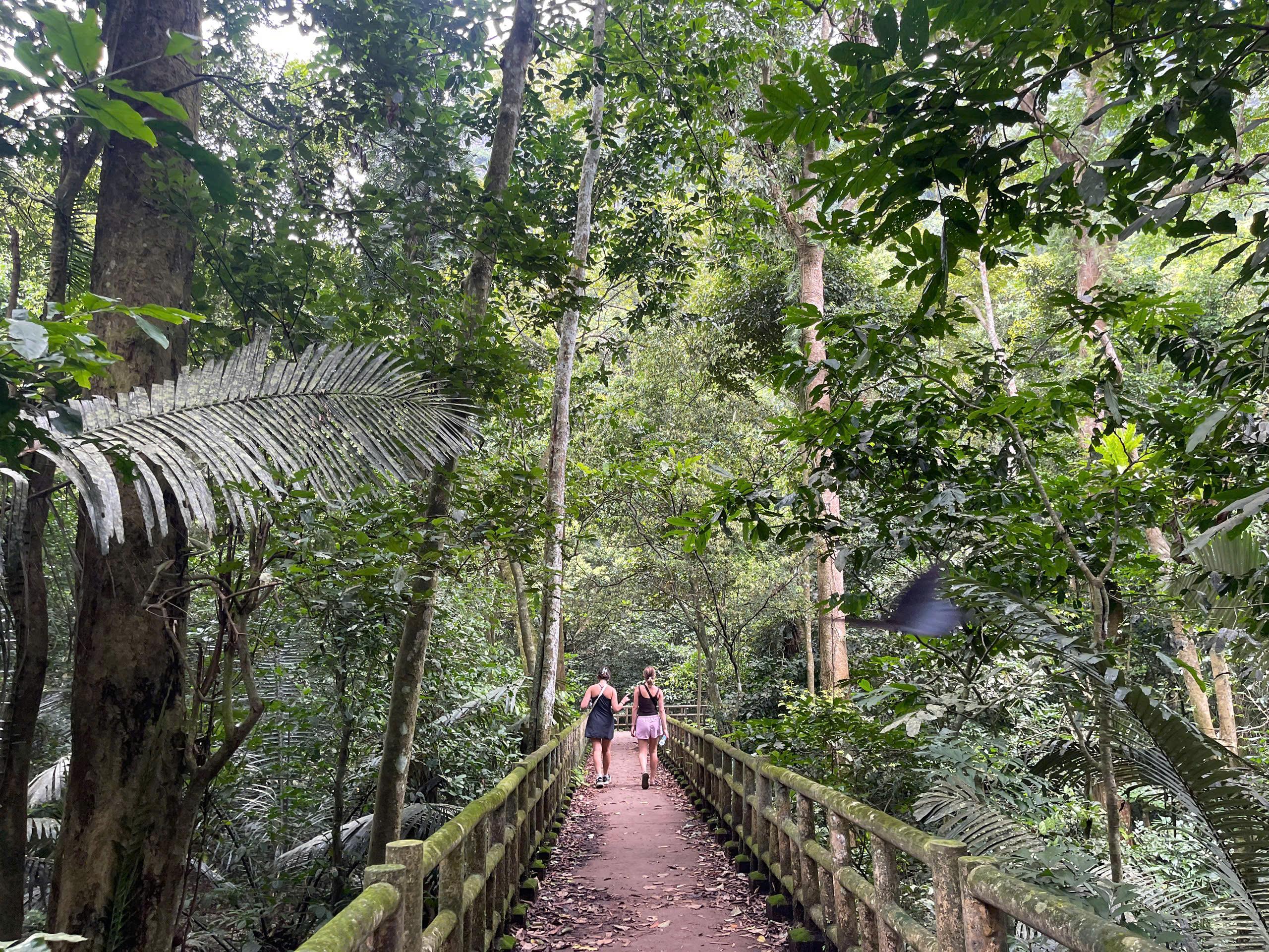 Cuc Phuong National Park: Jungle Trek & Wildlife Day Trip from Ninh Binh
