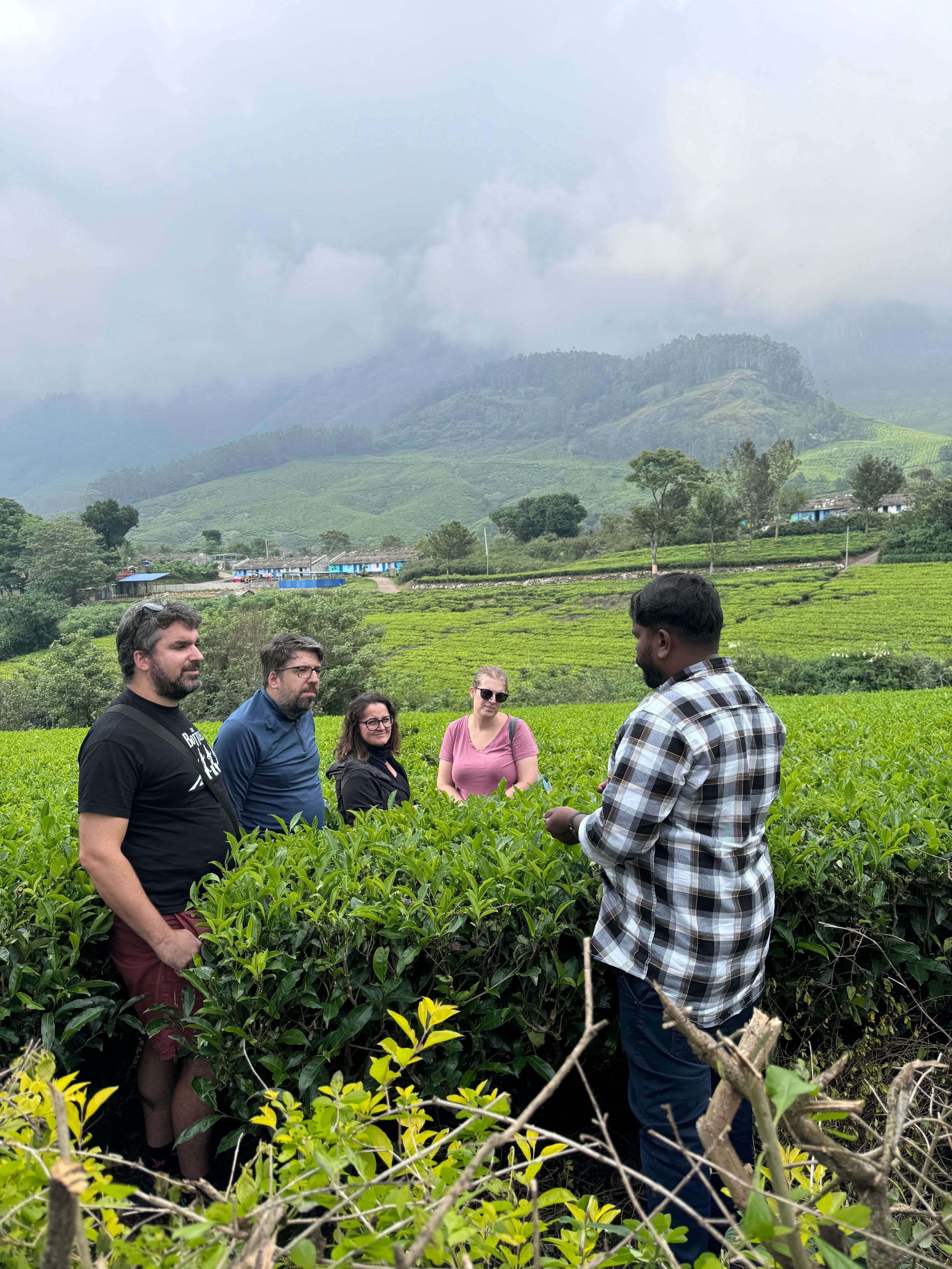 Munnar: Kolukkumalai High-Altitude Tea Estate Jeep Adventure