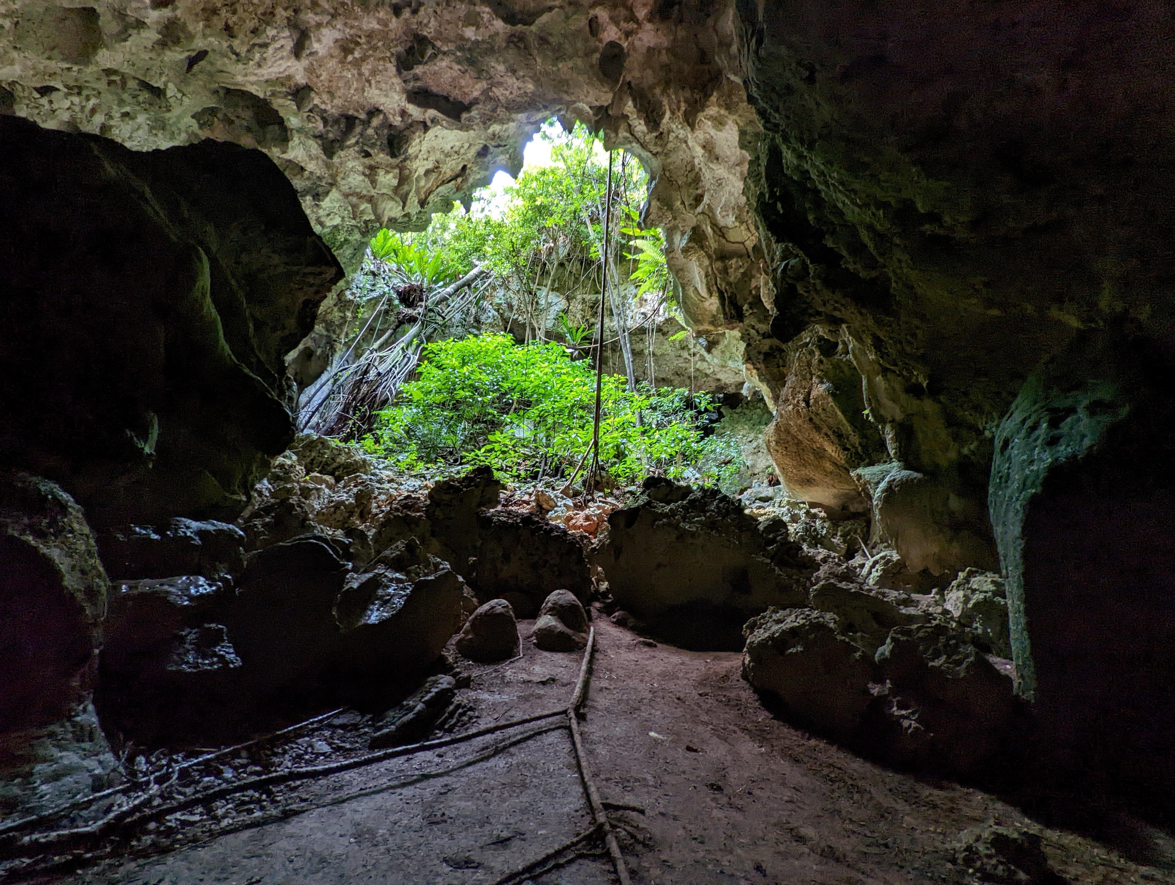 Hidden Caverns & Cenote Swim Adventure