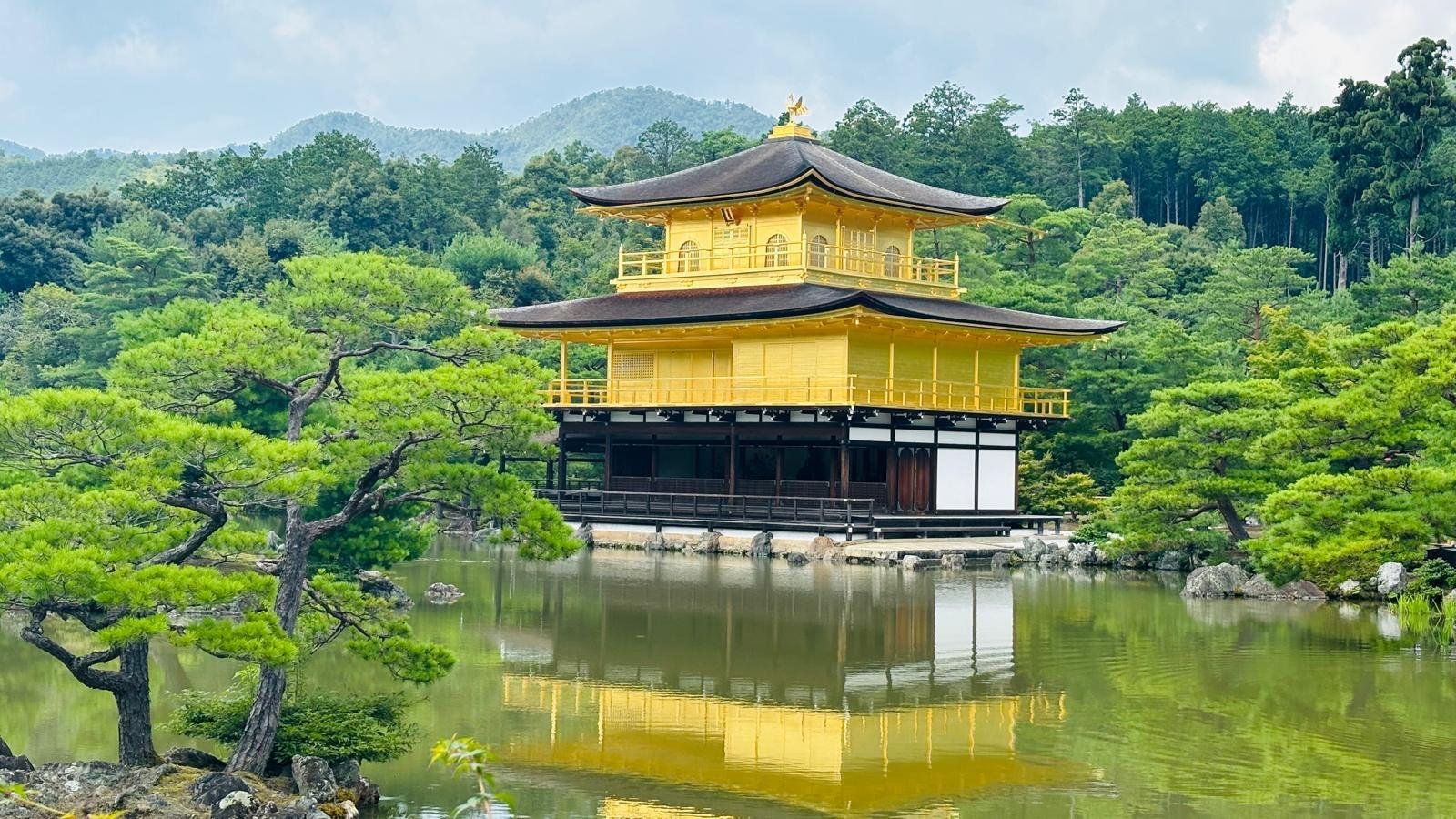 Kyoto & Nara Bespoke Private Day Tour from Osaka or Kyoto