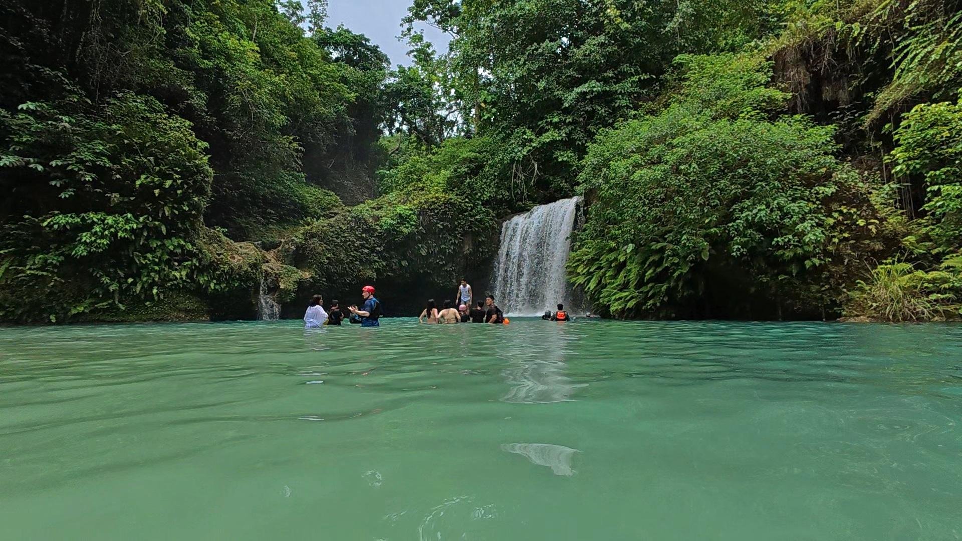 Moalboal Sardine Run & Kawasan Falls Canyoneering Day Tour from Cebu