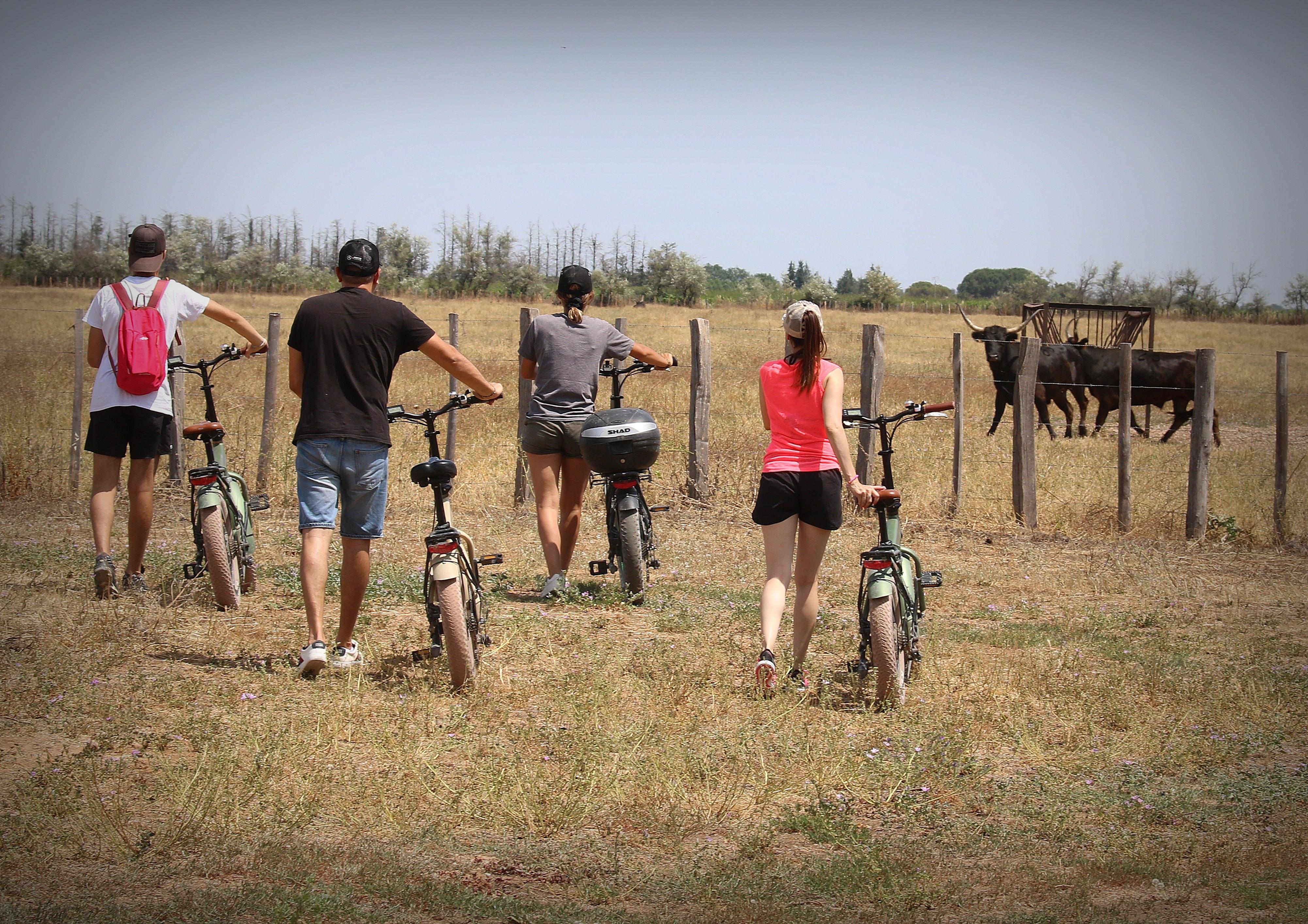 Camargue Electric Bike Safari from Aigues Mortes