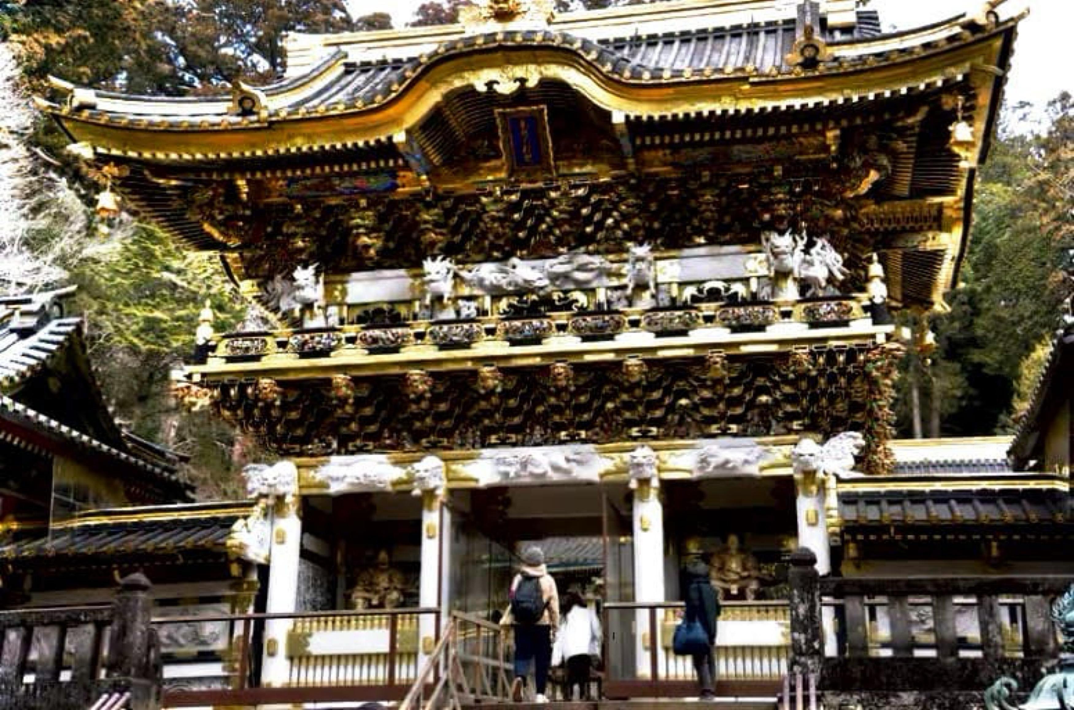 Nikko Photography Day Tour from Tokyo – Private & Customizable