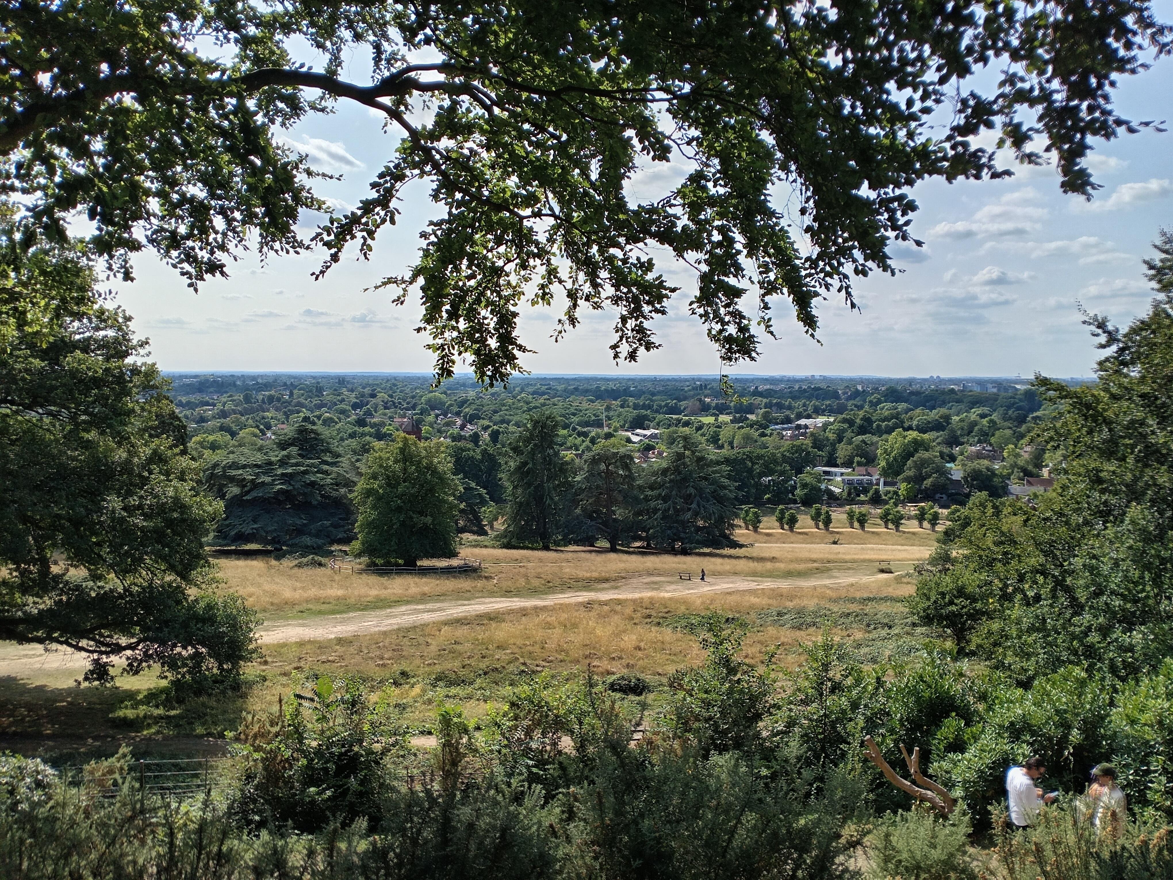 Battersea to Richmond Park E-Bike Adventure
