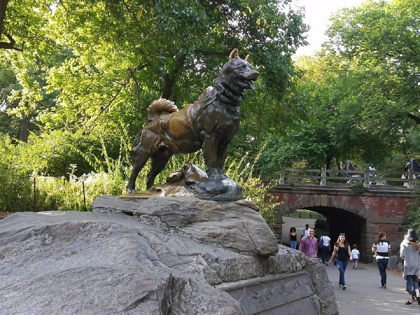 Private Central Park Pedicab Sightseeing Tour