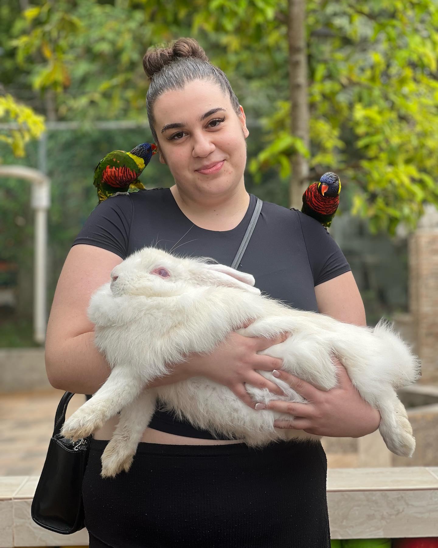 Negril Herb Farm, Mineral Spring, and Rick's Cafe Adventure