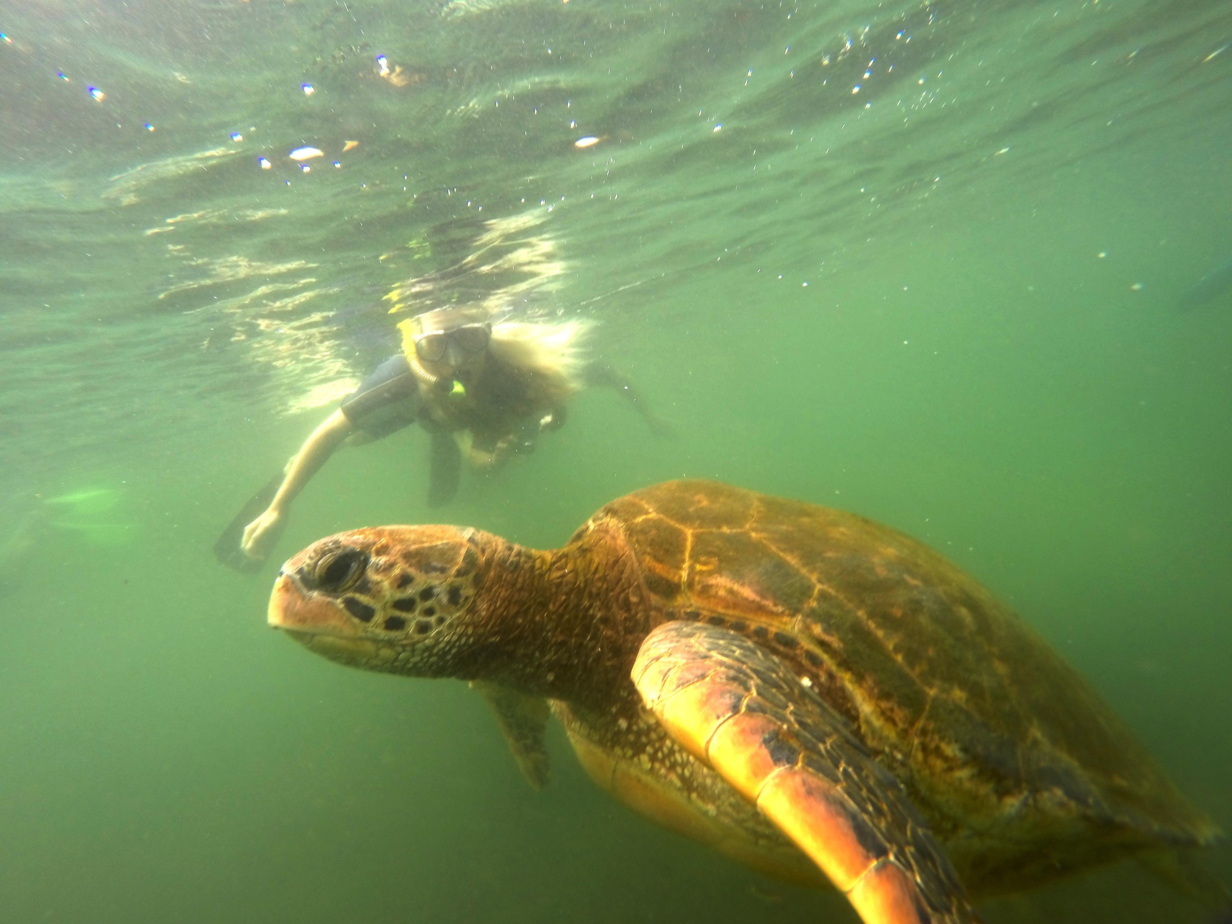7-Day Galapagos Island Hopping Expedition