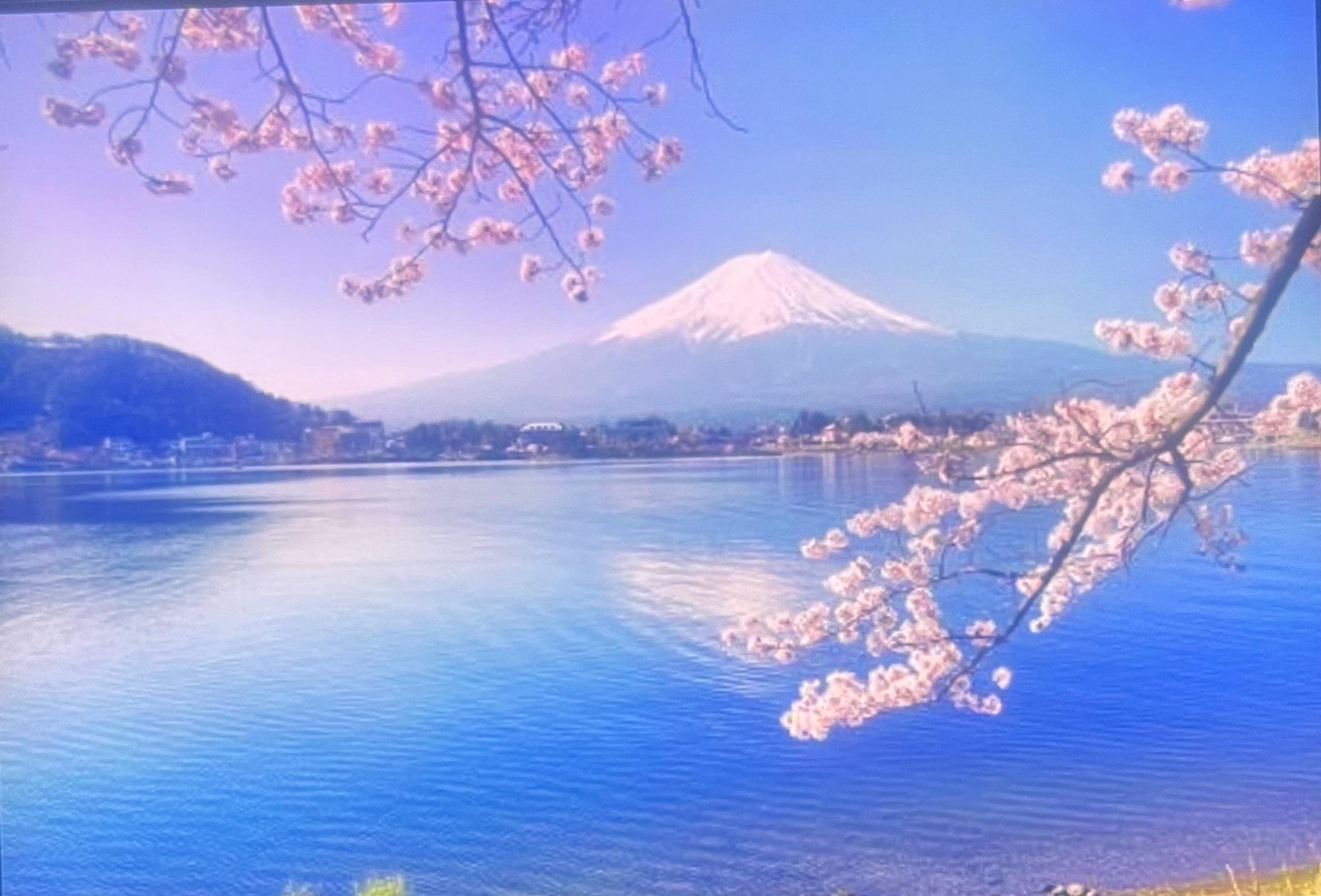 Private Mount Fuji & Lake Kawaguchiko Day Tour from Tokyo