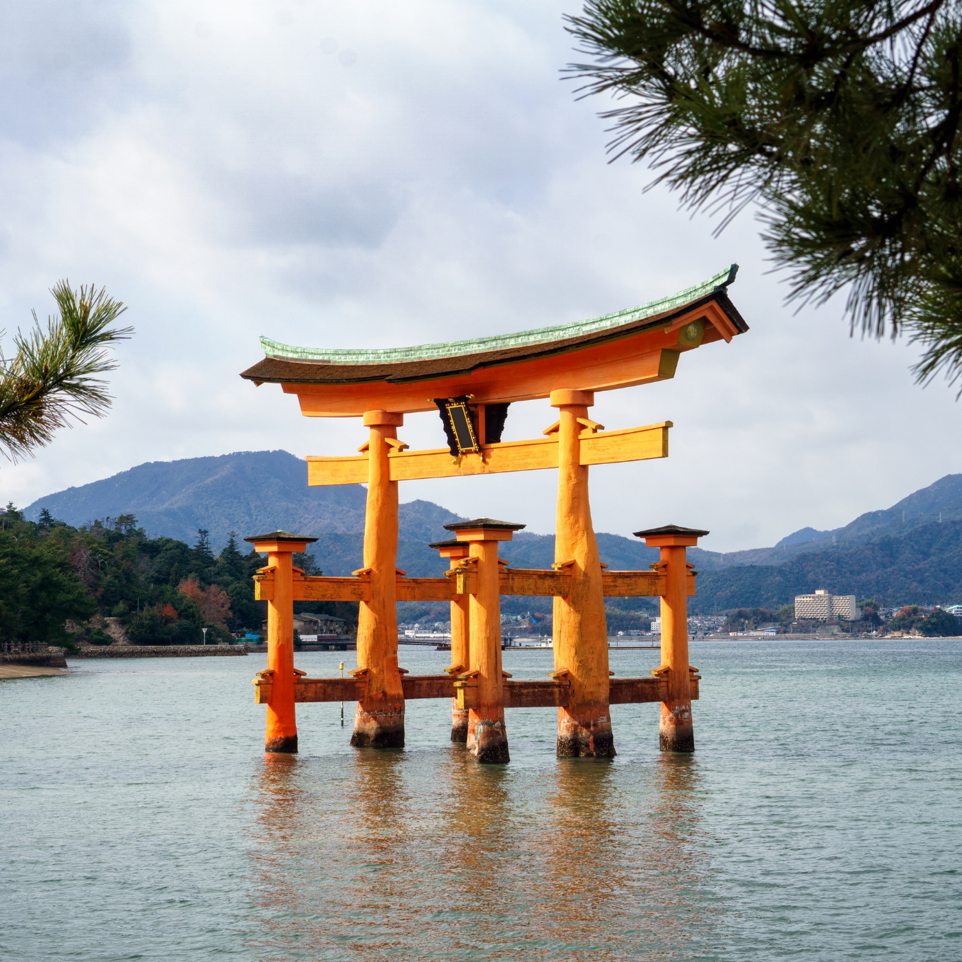 Private Nikko Day Tour from Tokyo – Fully Customizable