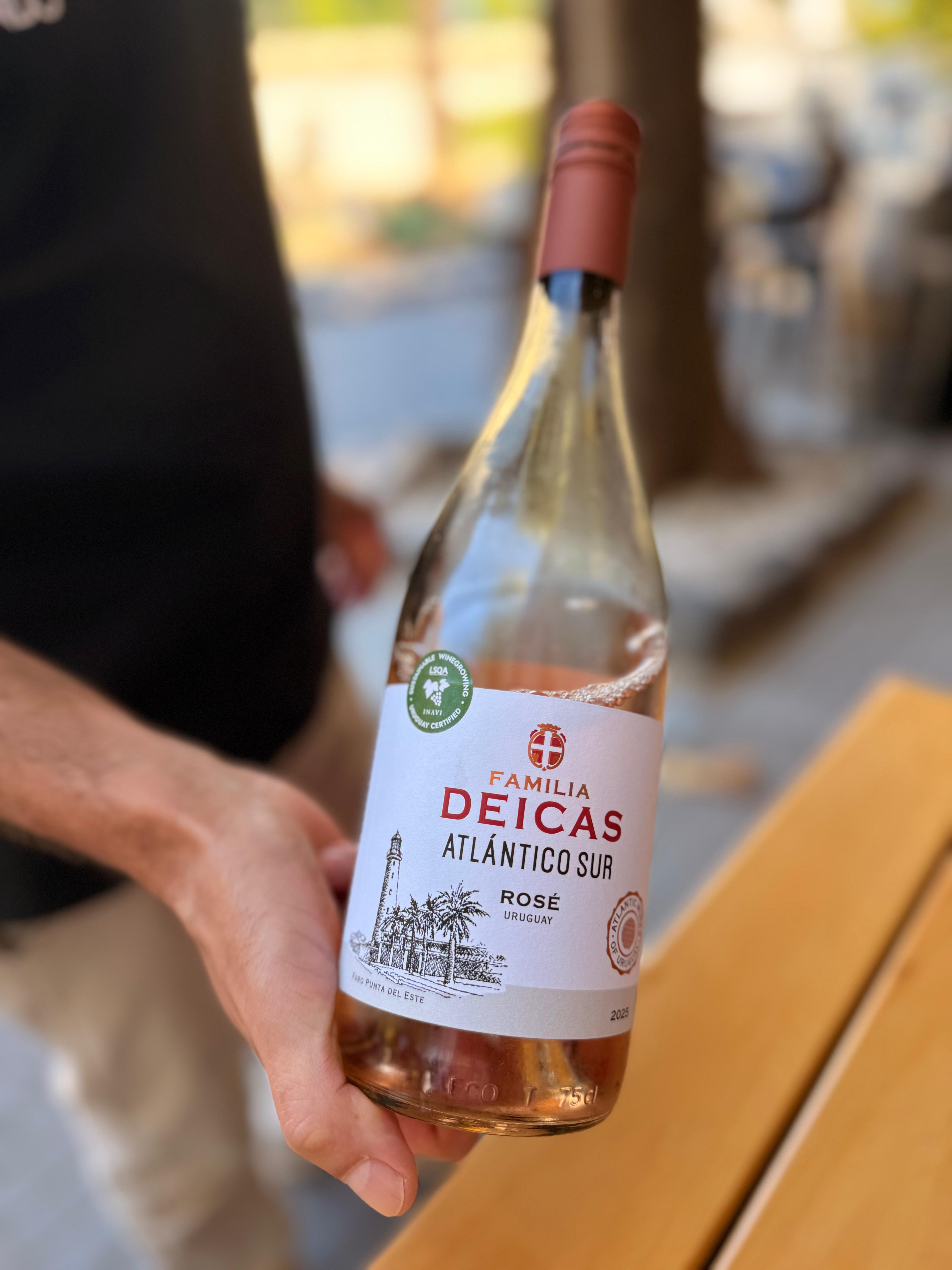 Wine & Empanada Pairing in Historic Colonia