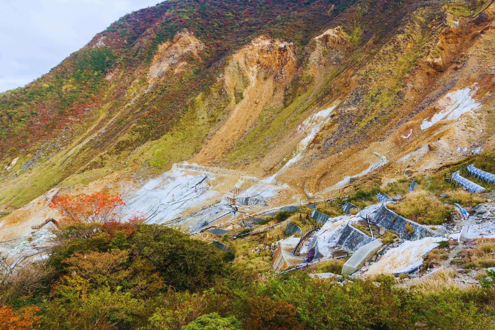 Mt. Fuji, Hakone & Arakura Pagoda Full-Day Tour from Tokyo