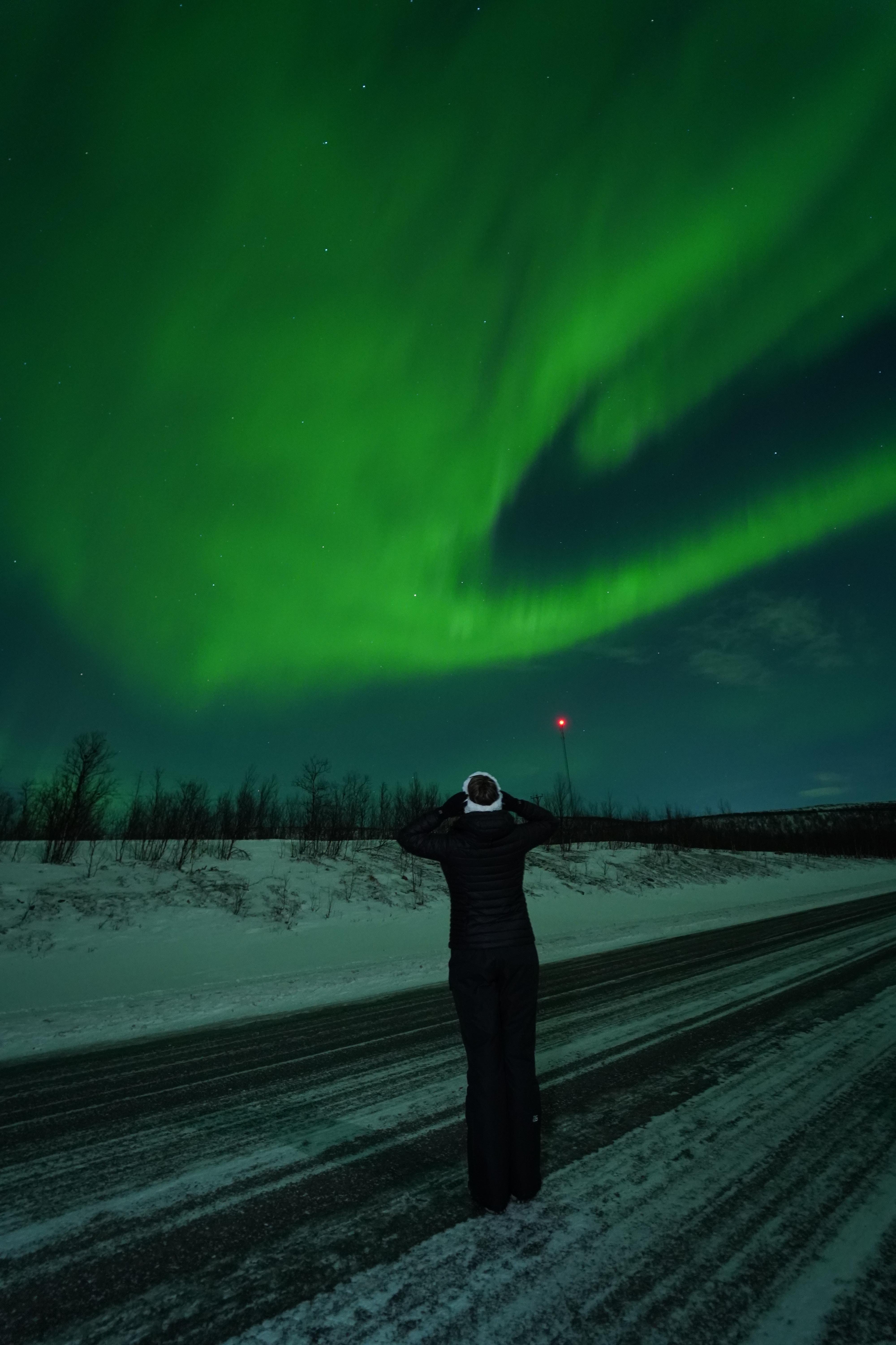 Northern lights tour, image 30