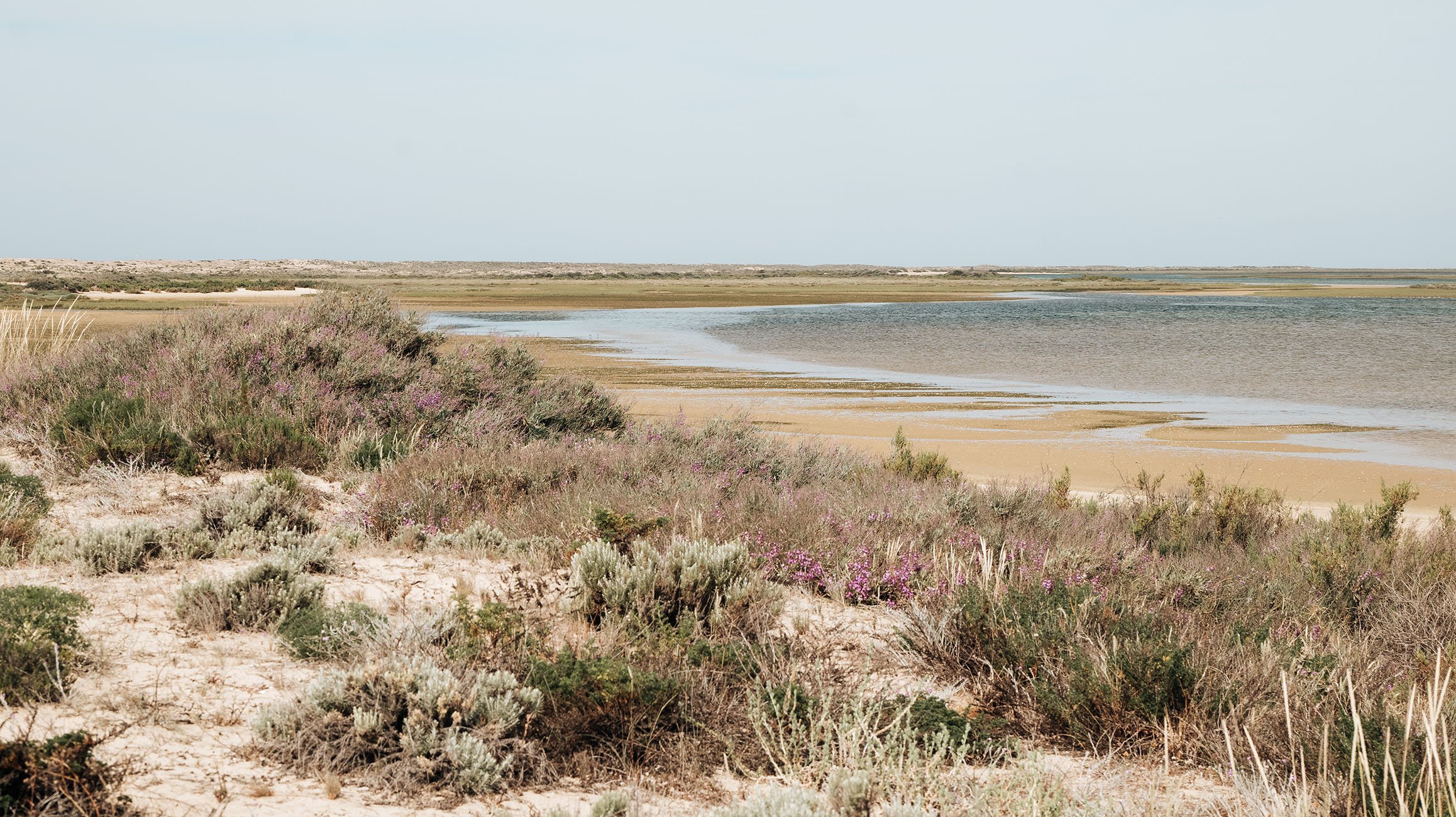 From Faro: Catamaran Boat Trip to Deserta Island with Stop