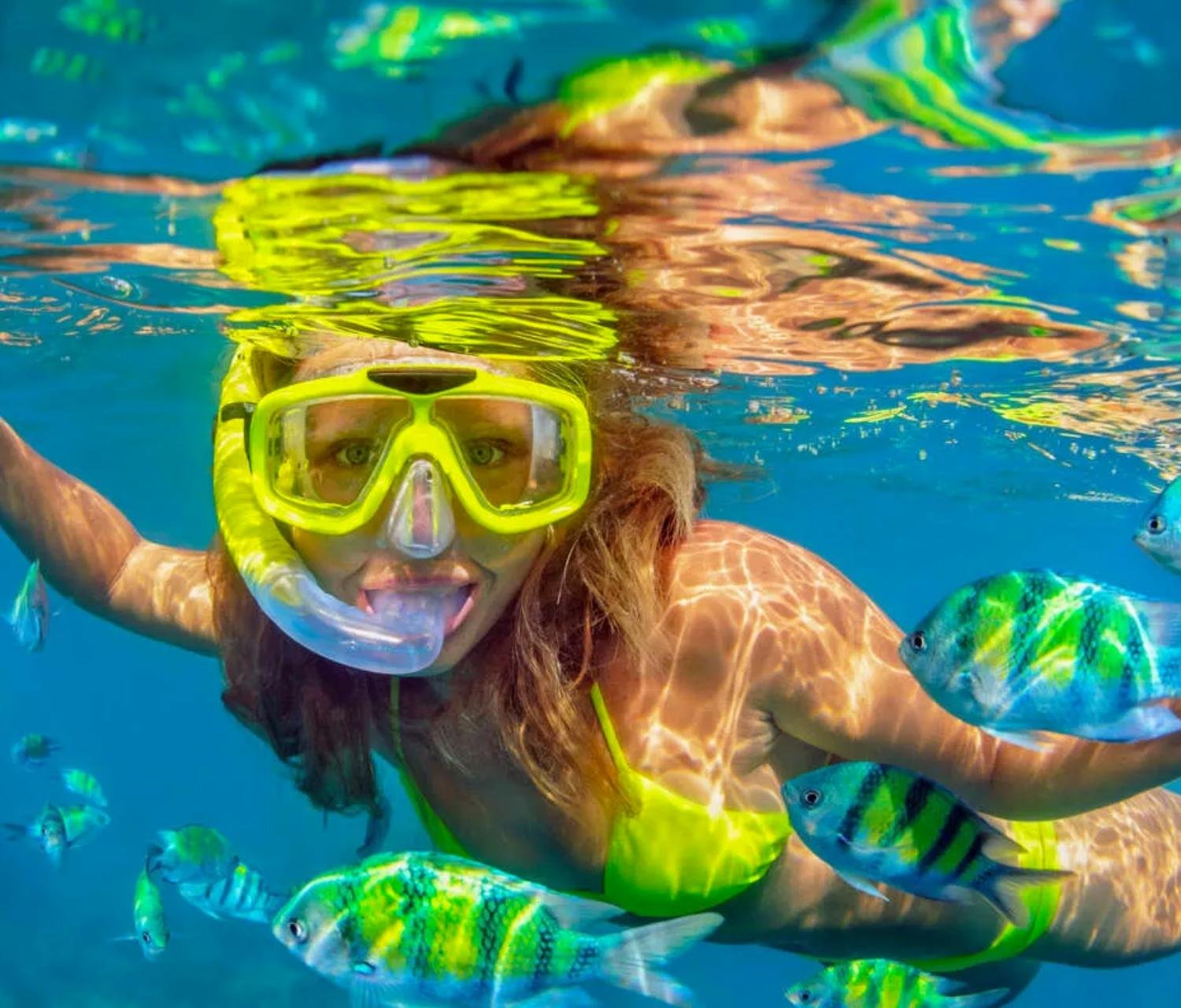Rosario Islands Full-Day Cruise: Snorkeling, Lunch & Beach Clubs