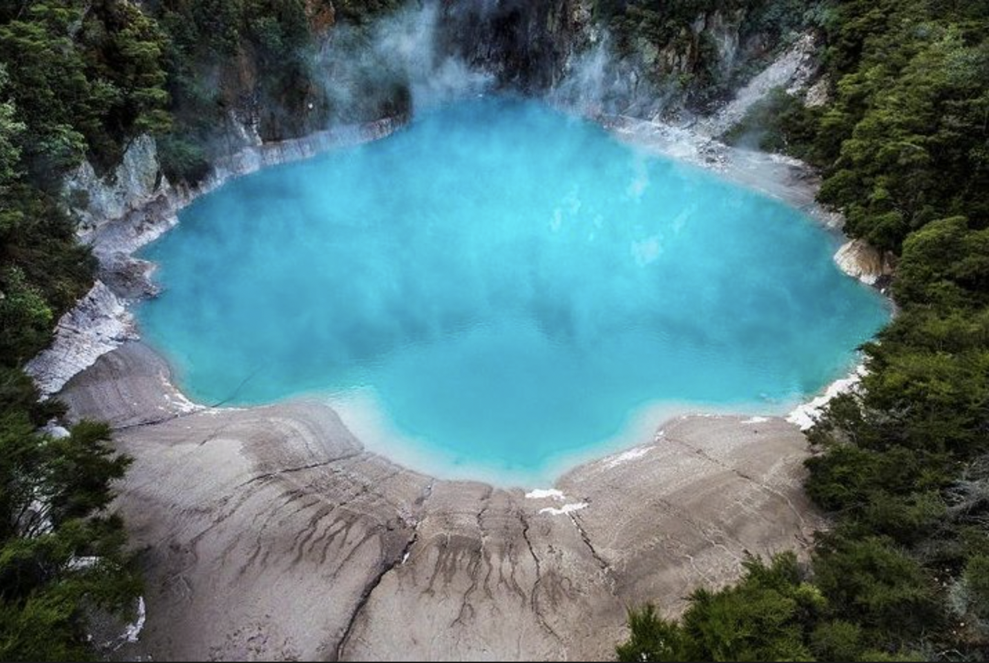 Rotorua Eco-Thermal Afternoon Adventure