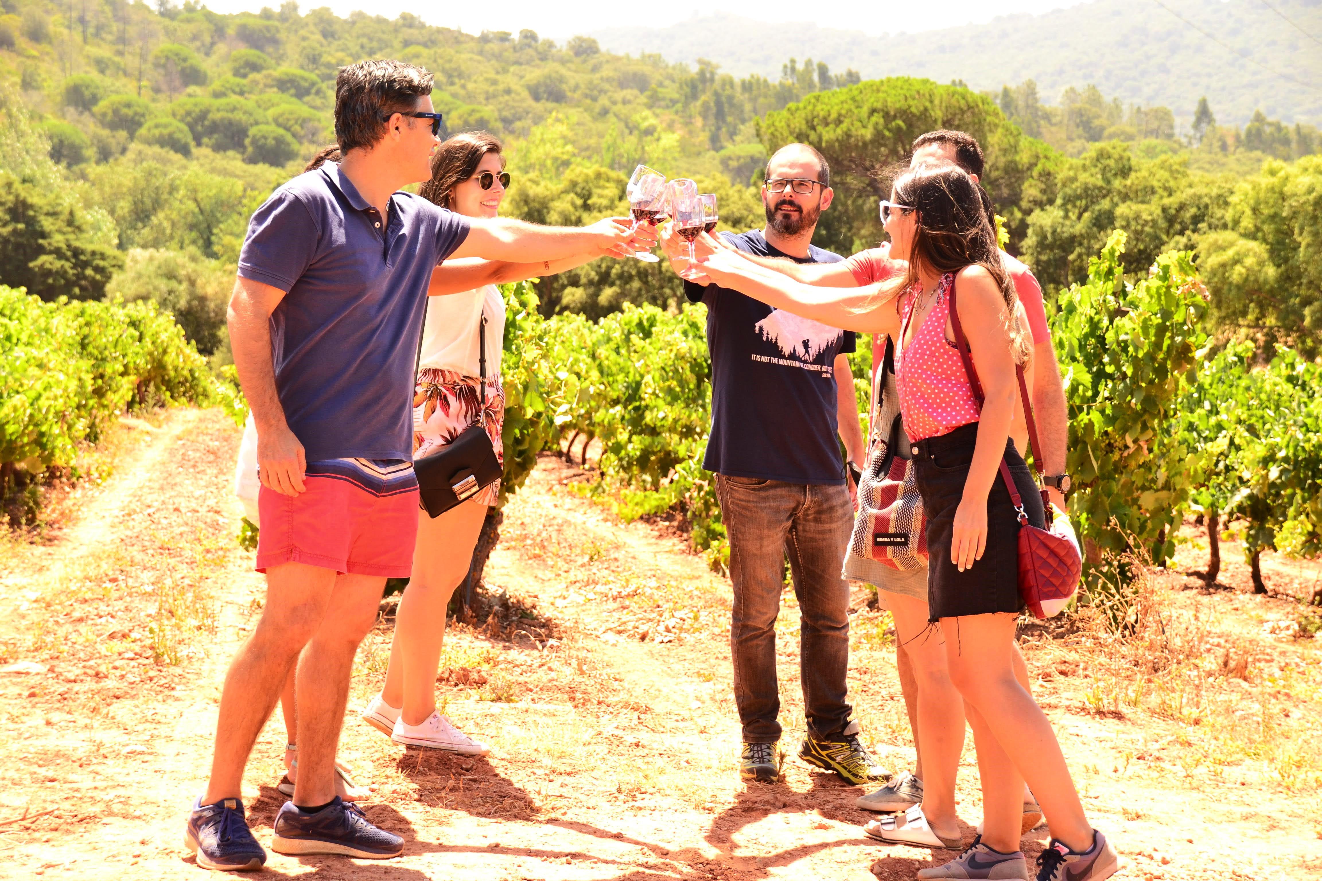 wine tour in Azeitão — photo 12