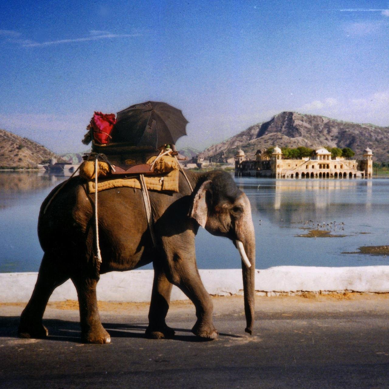 Jaipur Private Photography & Sightseeing Day Tour