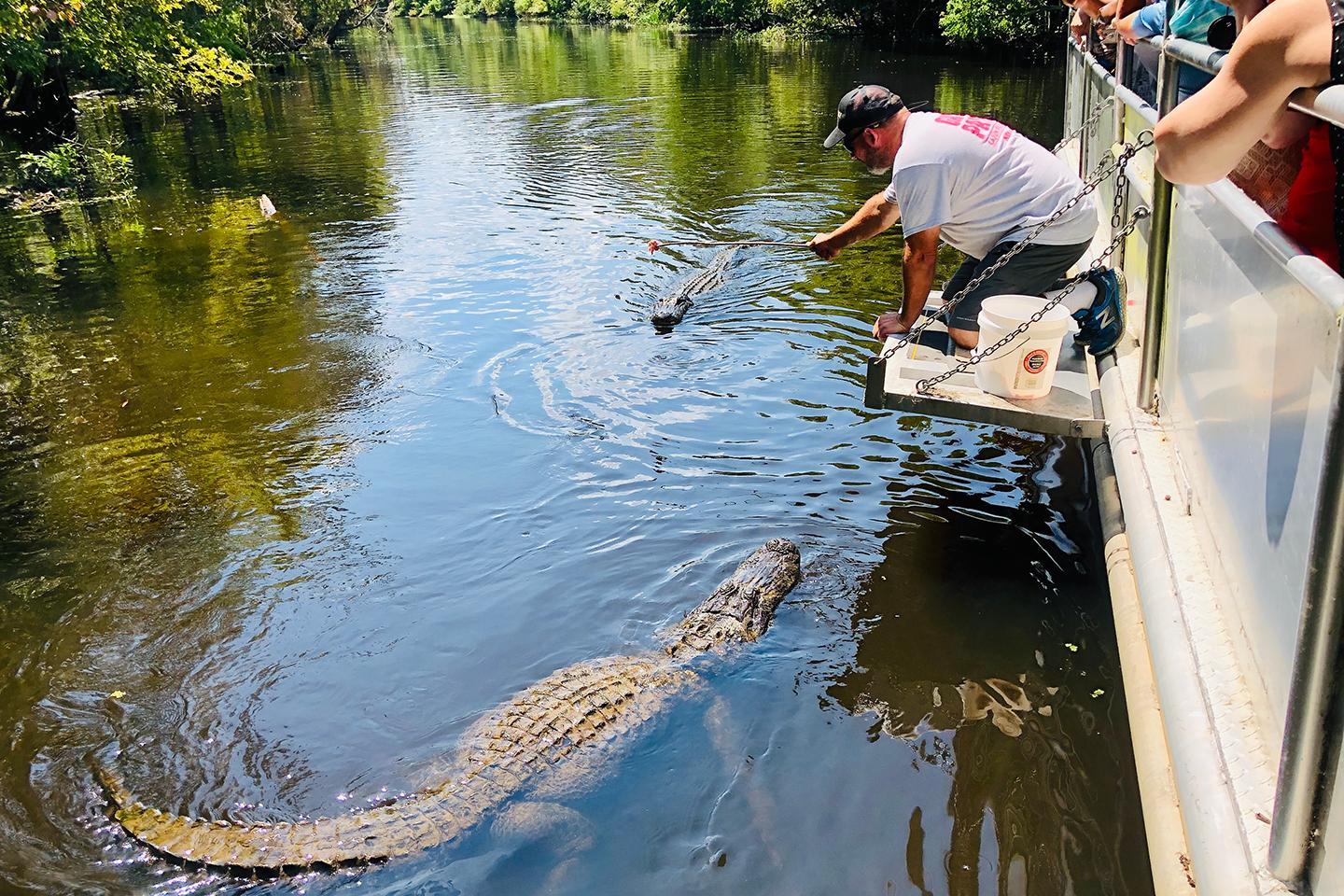 Manchac Swamp Boat Tour & Whitney Plantation Experience