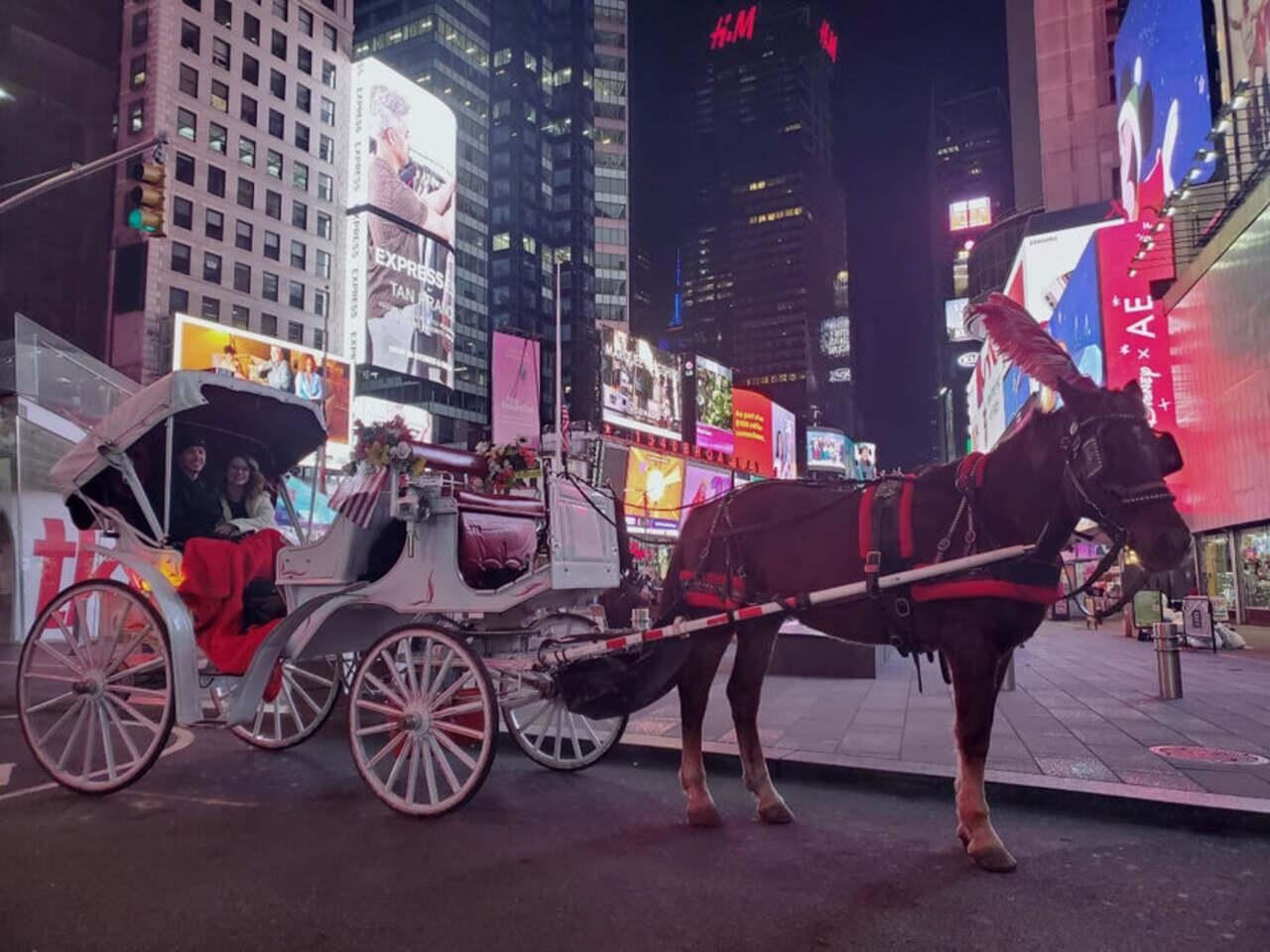 Private Central Park Horse Carriage Tour with Guide