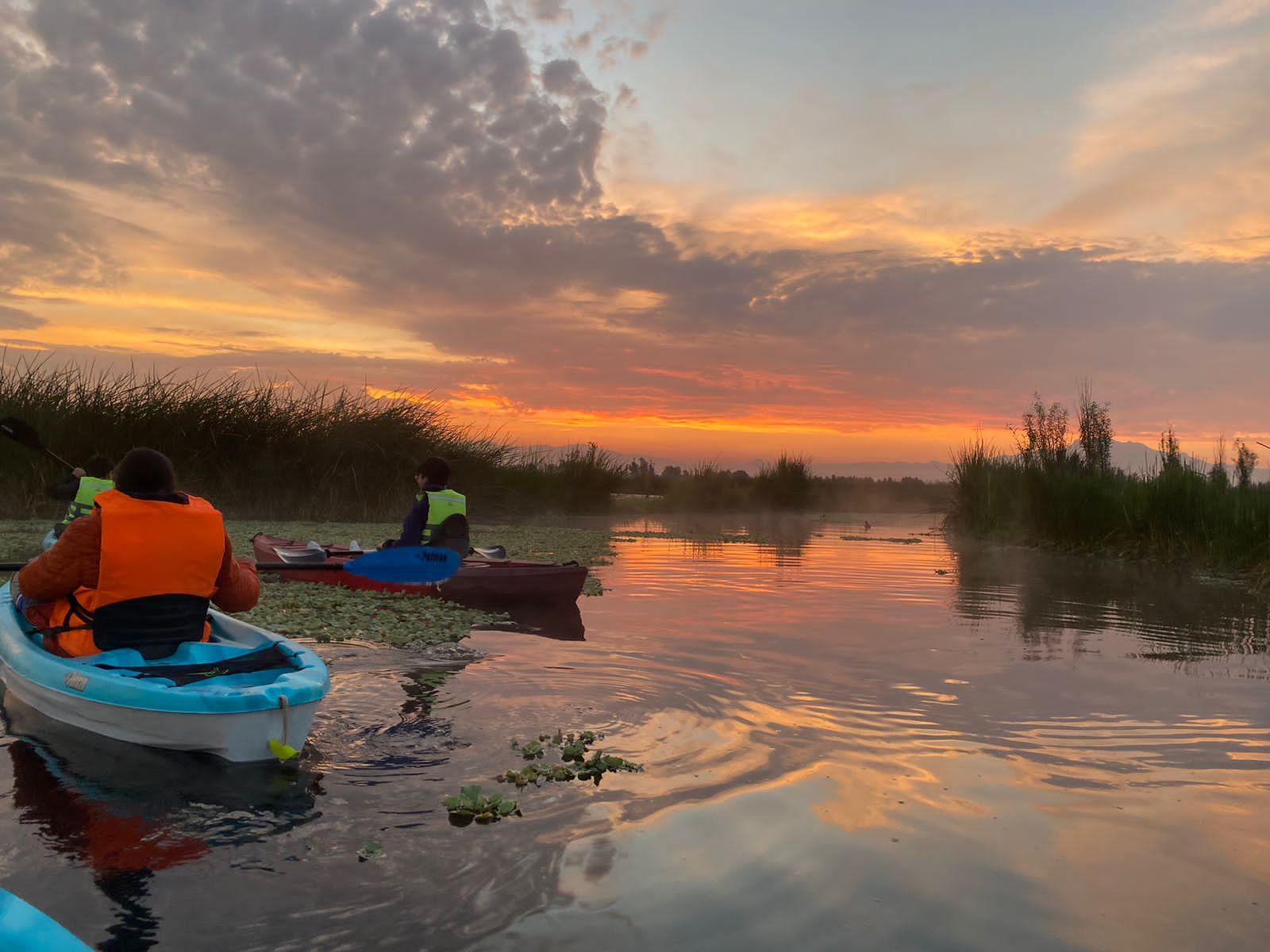 Xochimilco Hidden Canals Kayak Adventure