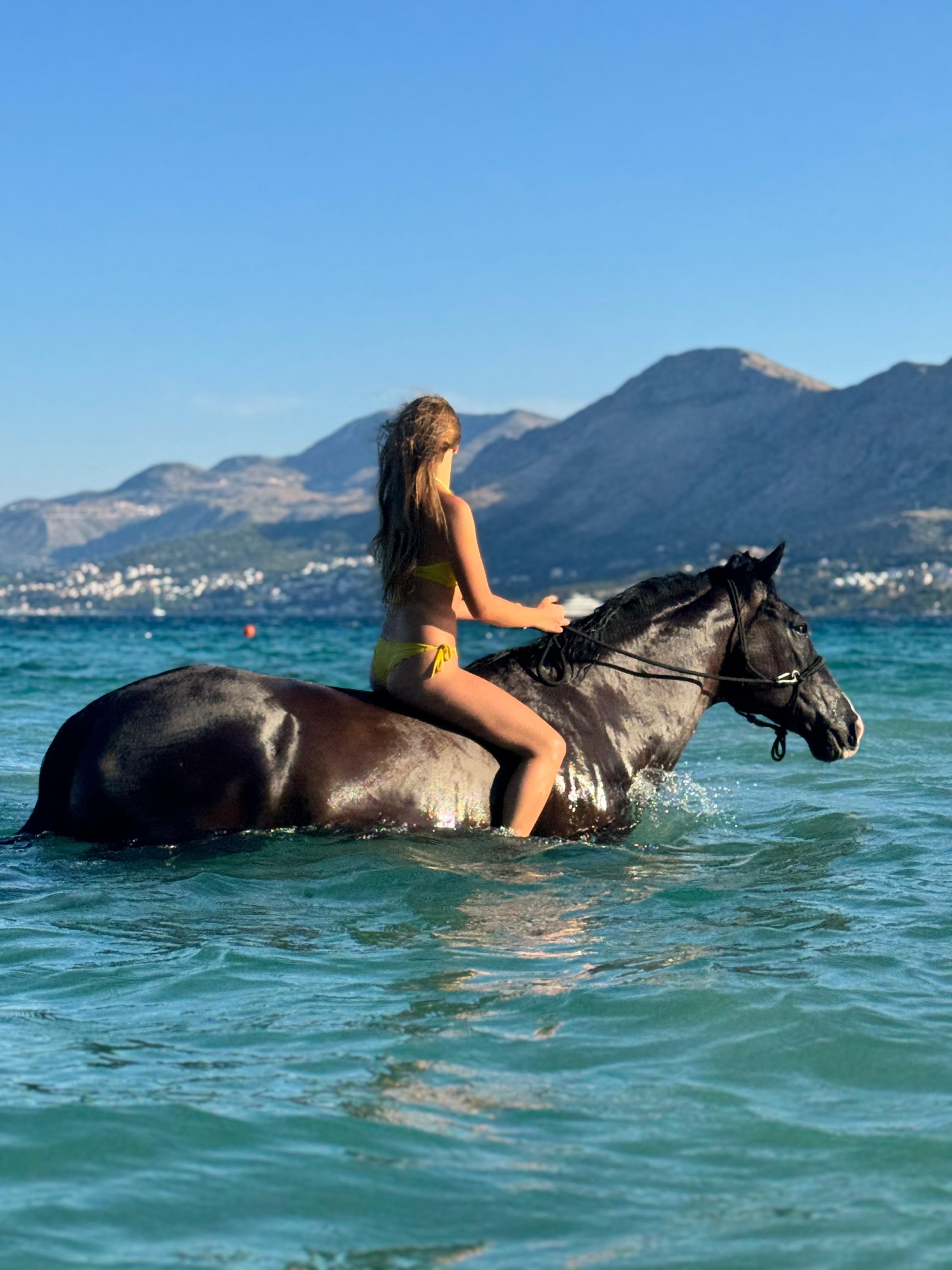 Cavtat Horse Swimming Adventure