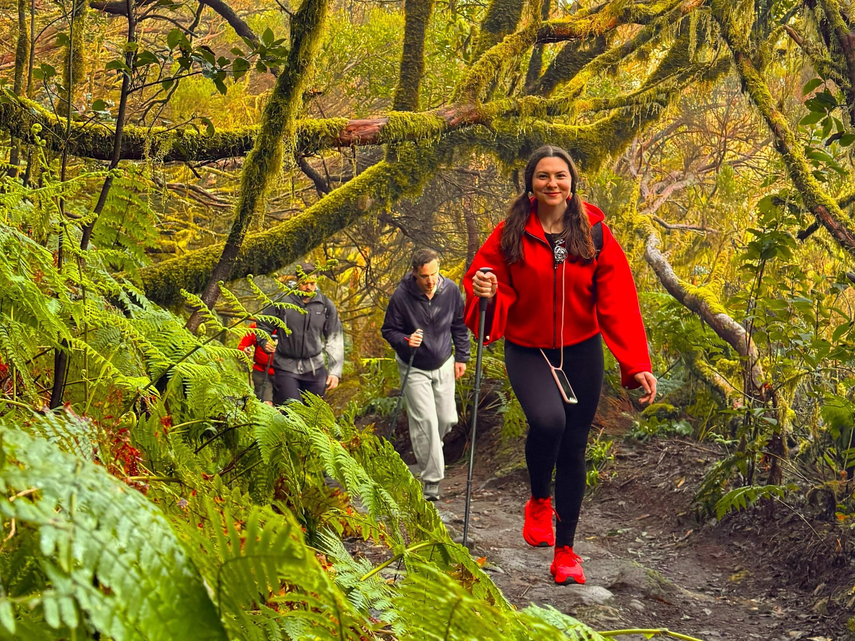 Anaga Mountains & Enchanted Forest Hiking Adventure