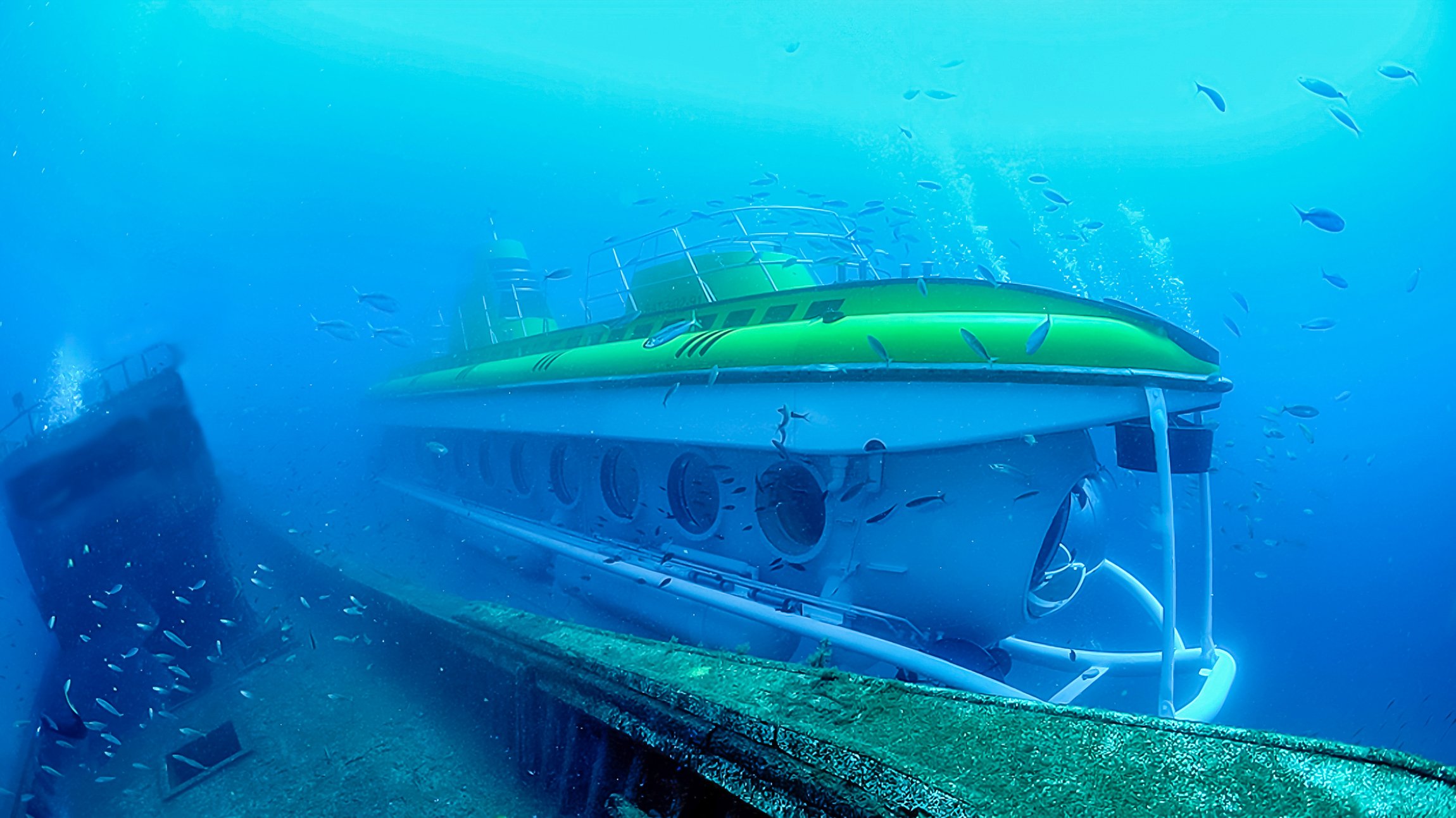 Submarine dive at Puerto Calero, Lanzarote — image 6