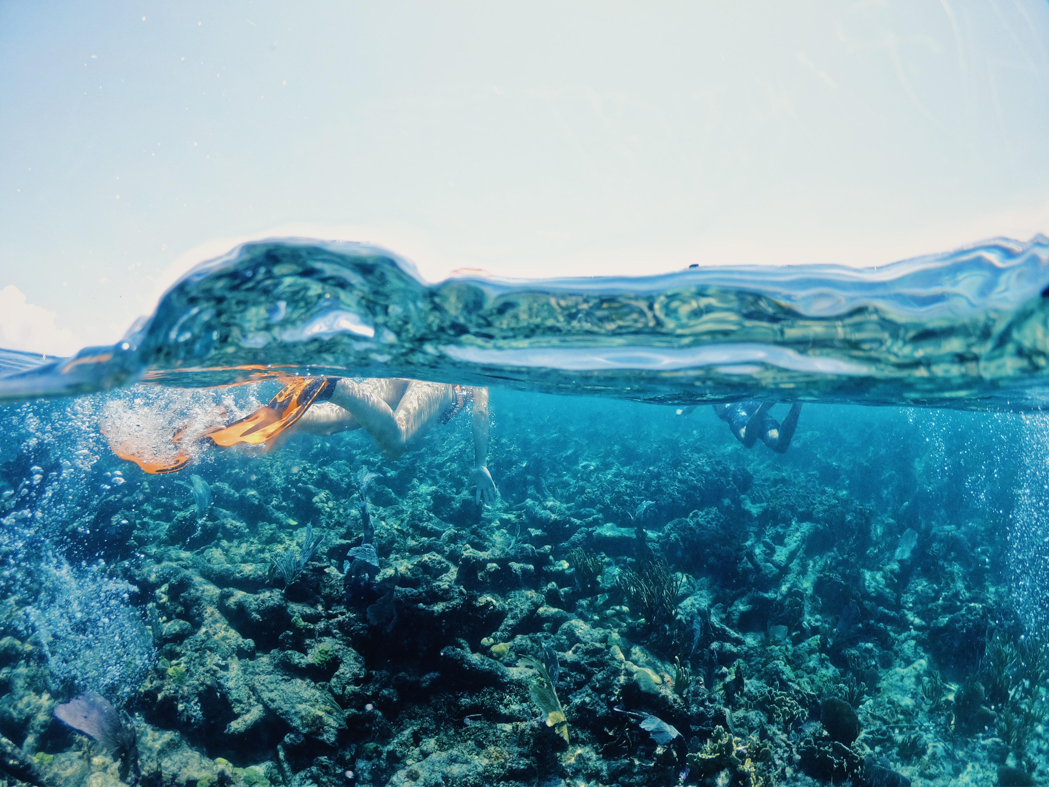 Tulum Sailing & Reef Snorkel Adventure