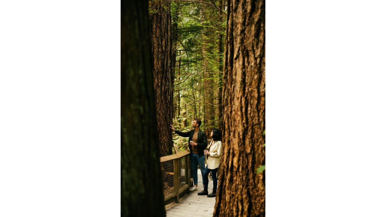 Capilano Suspension Bridge Park Entry